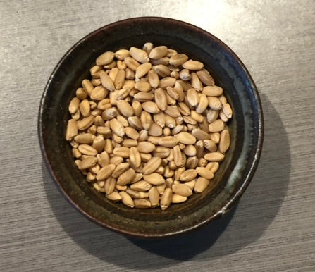 Wheat pack made with Liberty fabric outer layer and wheat in pouch inner layer