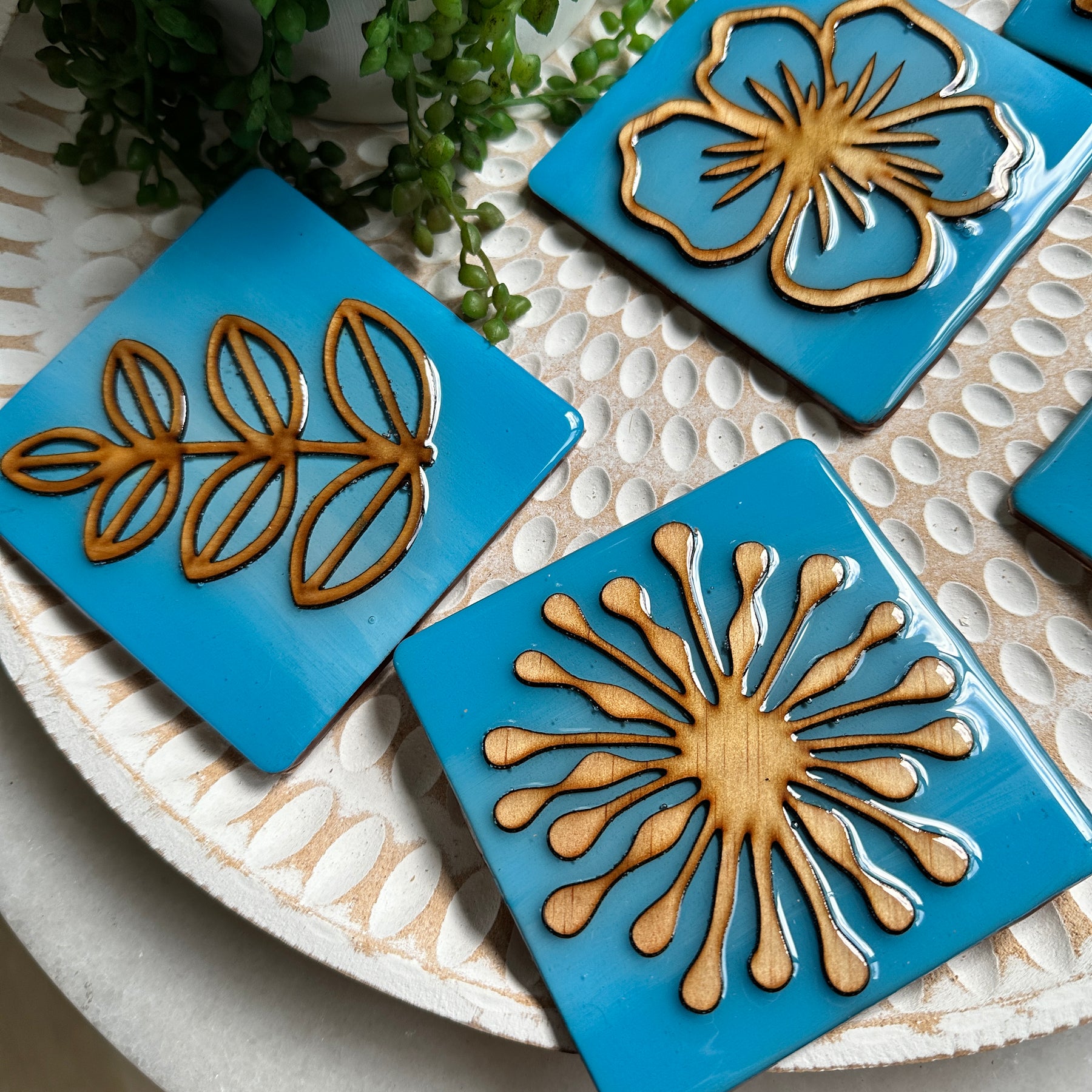 NATURE COLLECTION - Blue Skies Nature