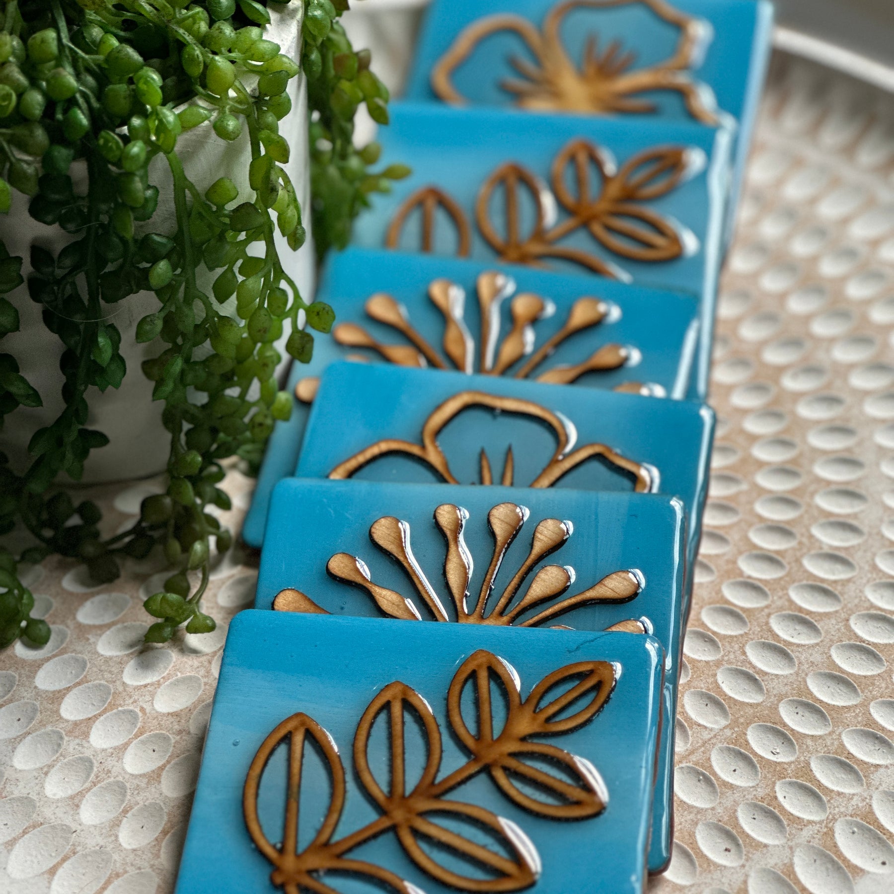 NATURE COLLECTION - Blue Skies Nature