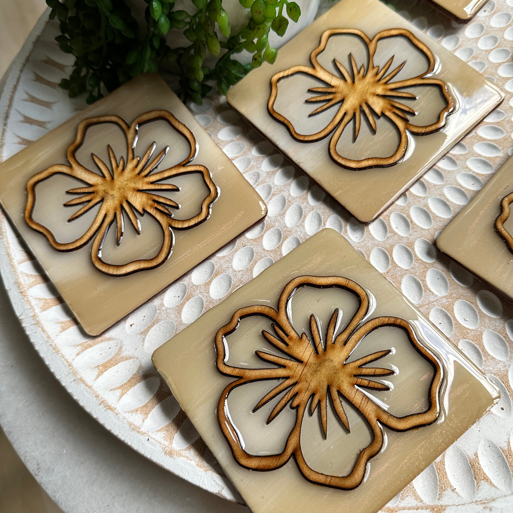 NATURE COLLECTION - Sandy Hibiscus