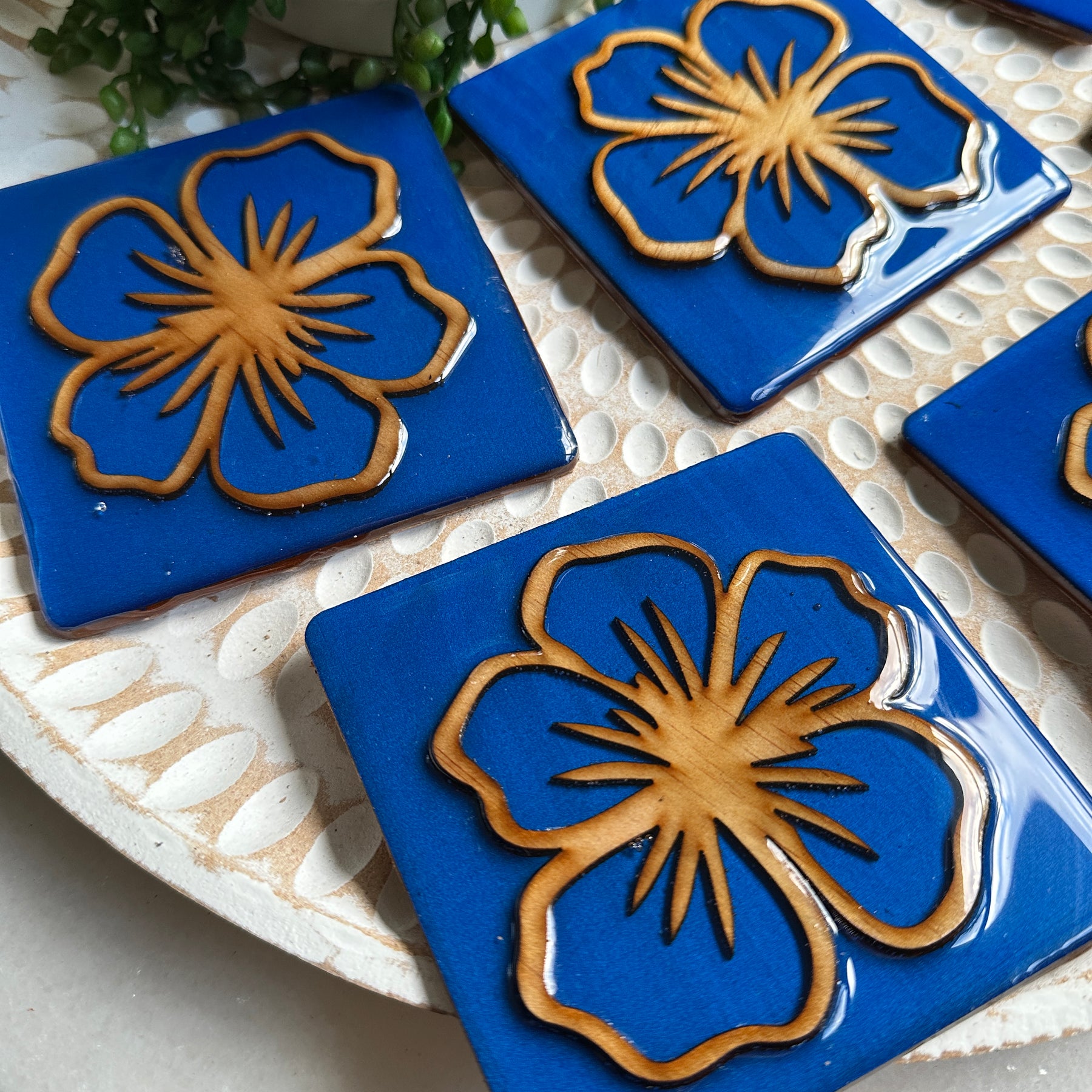 NATURE COLLECTION - Night Sky Hibiscus