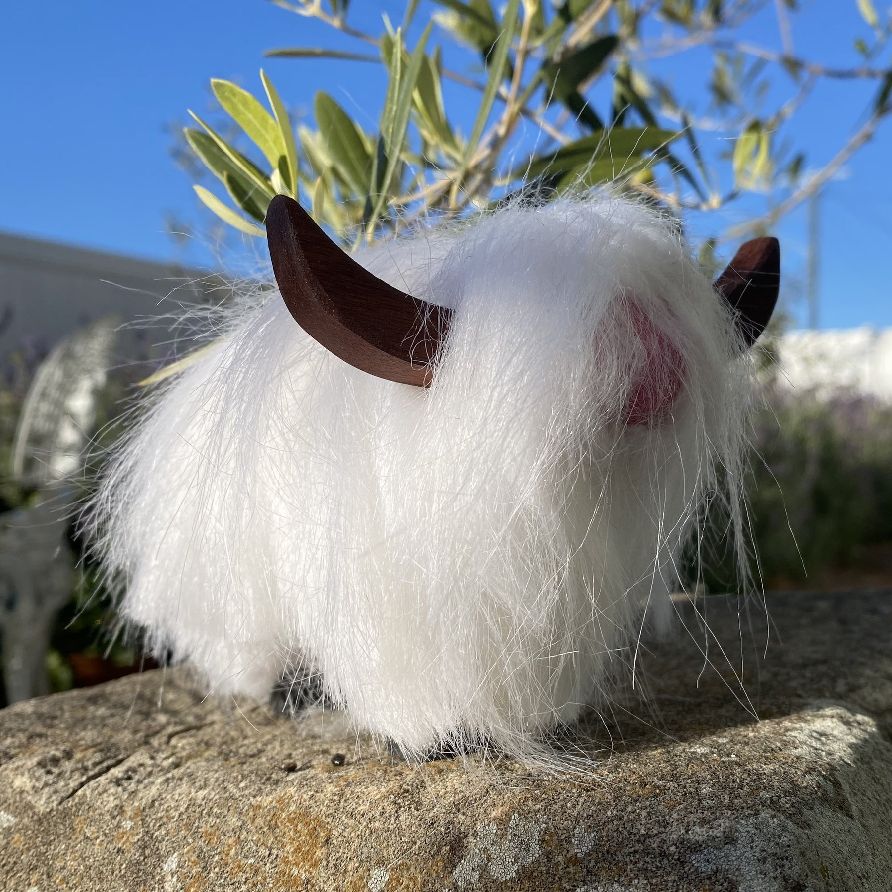 Highland Cow White
