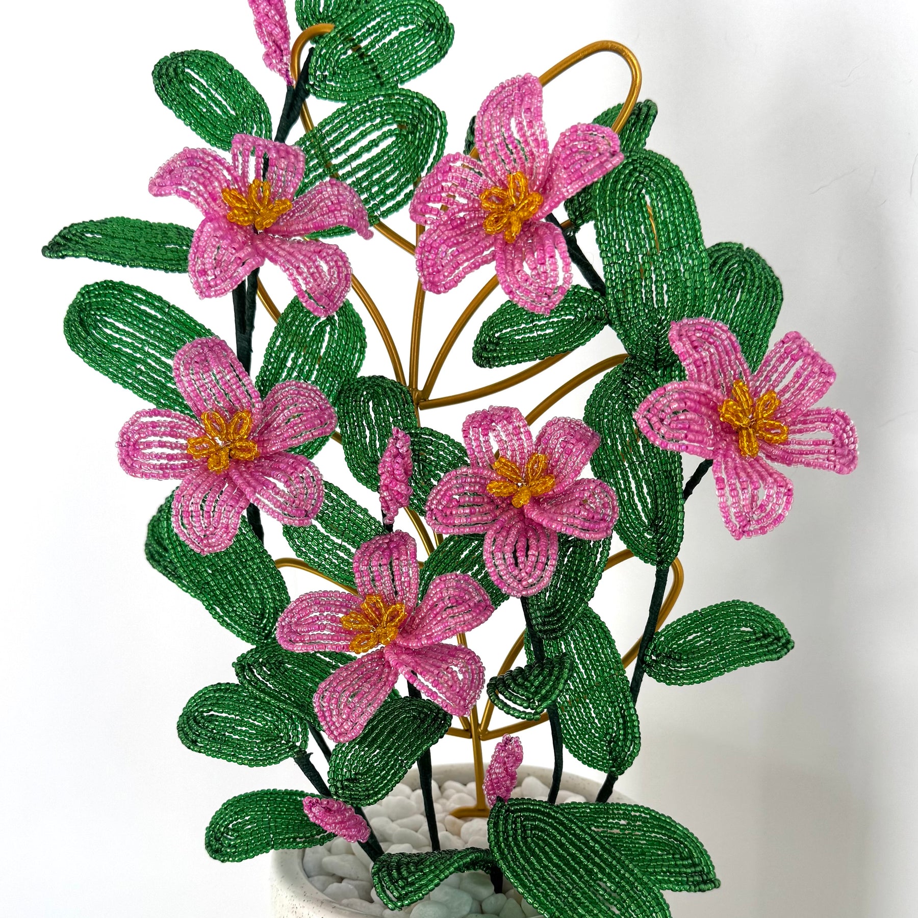 French-beaded Vining Mandavilla
