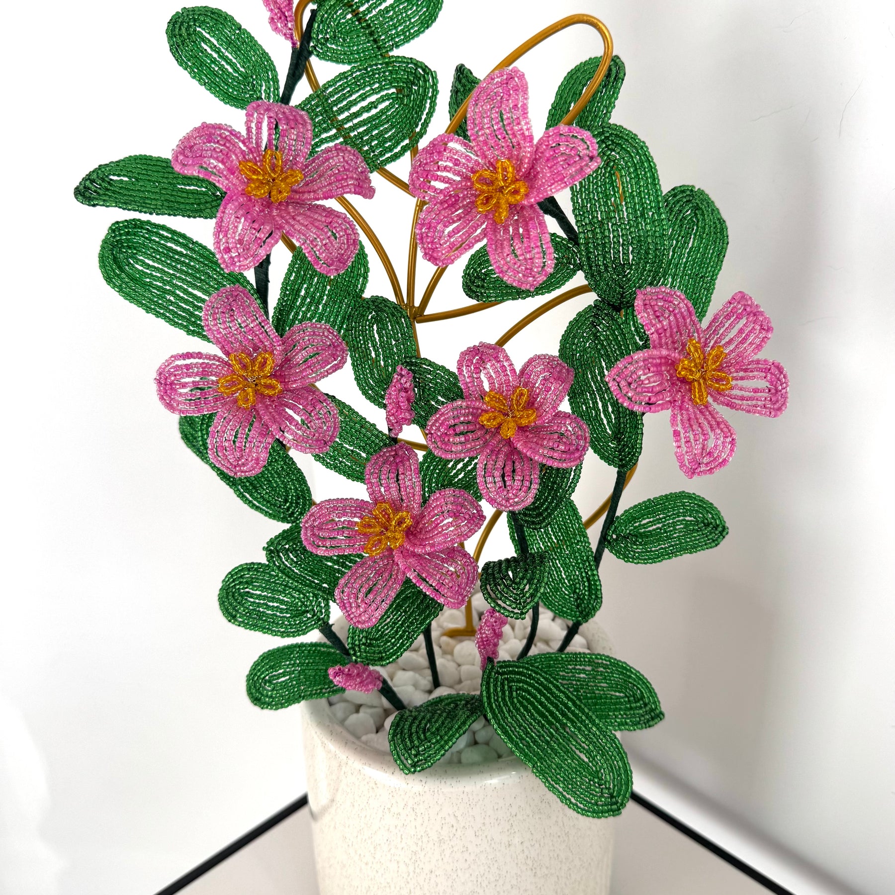 French-beaded Vining Mandavilla