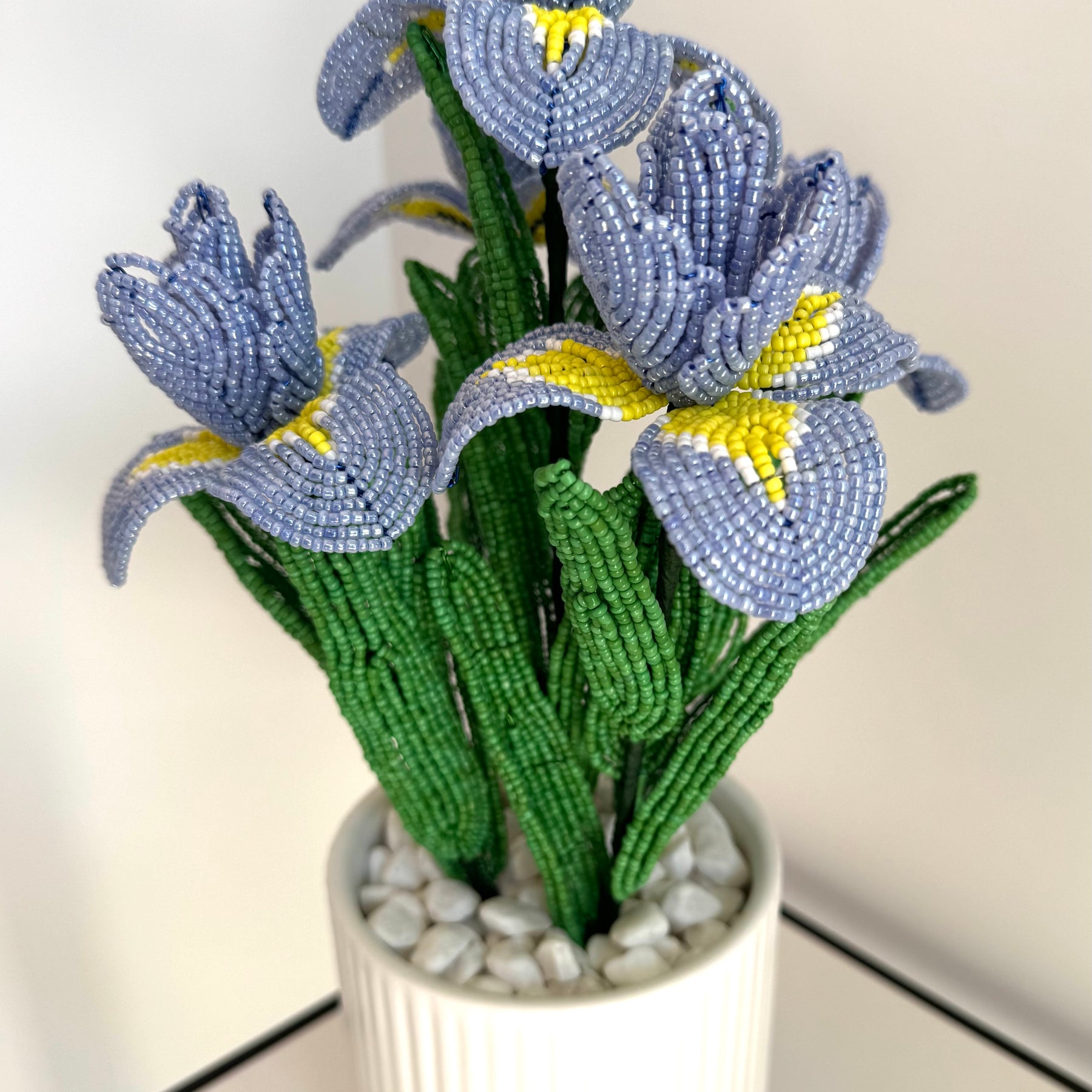 French-beaded Blue Iris - potted flowers