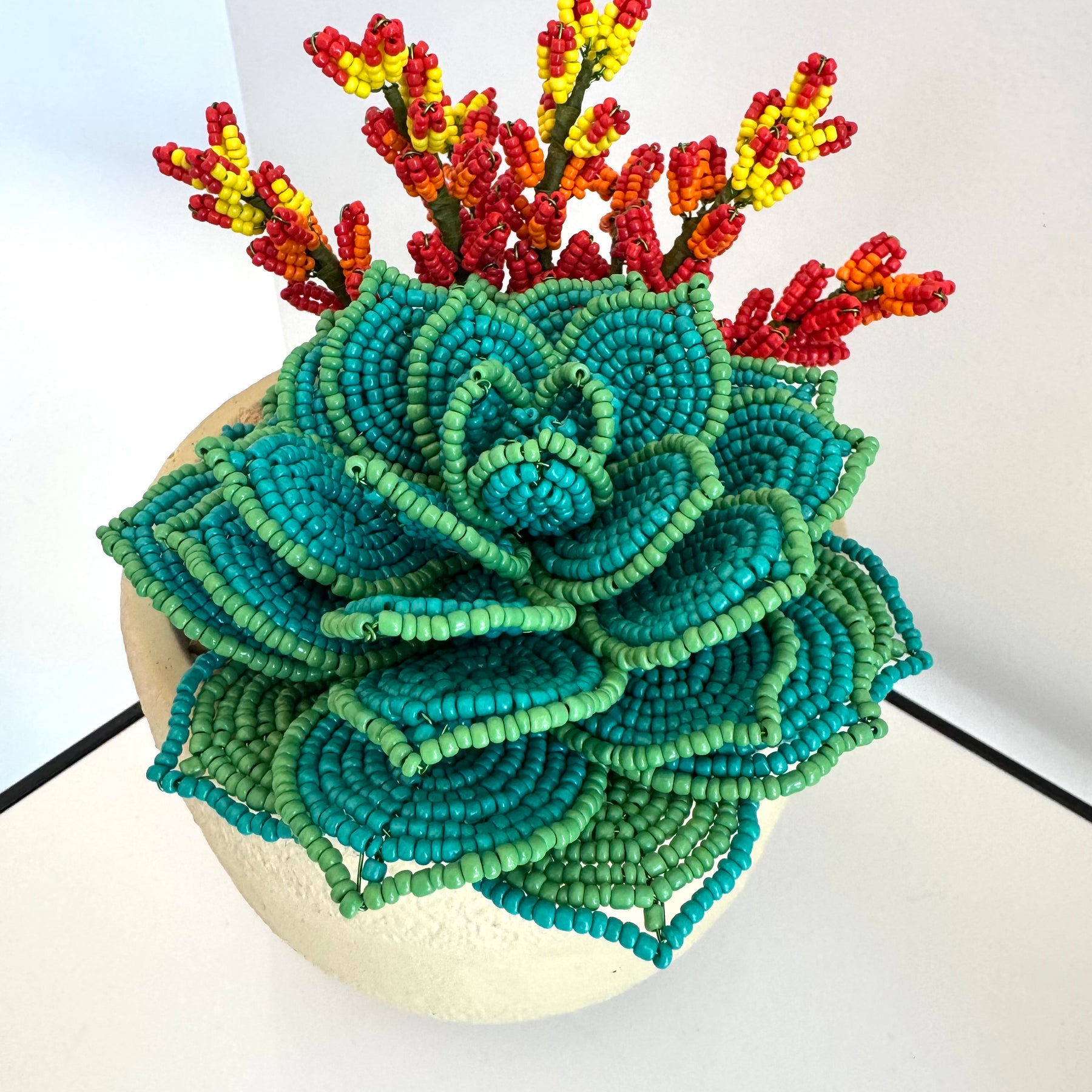 bead succulent French-beaded potted succulent