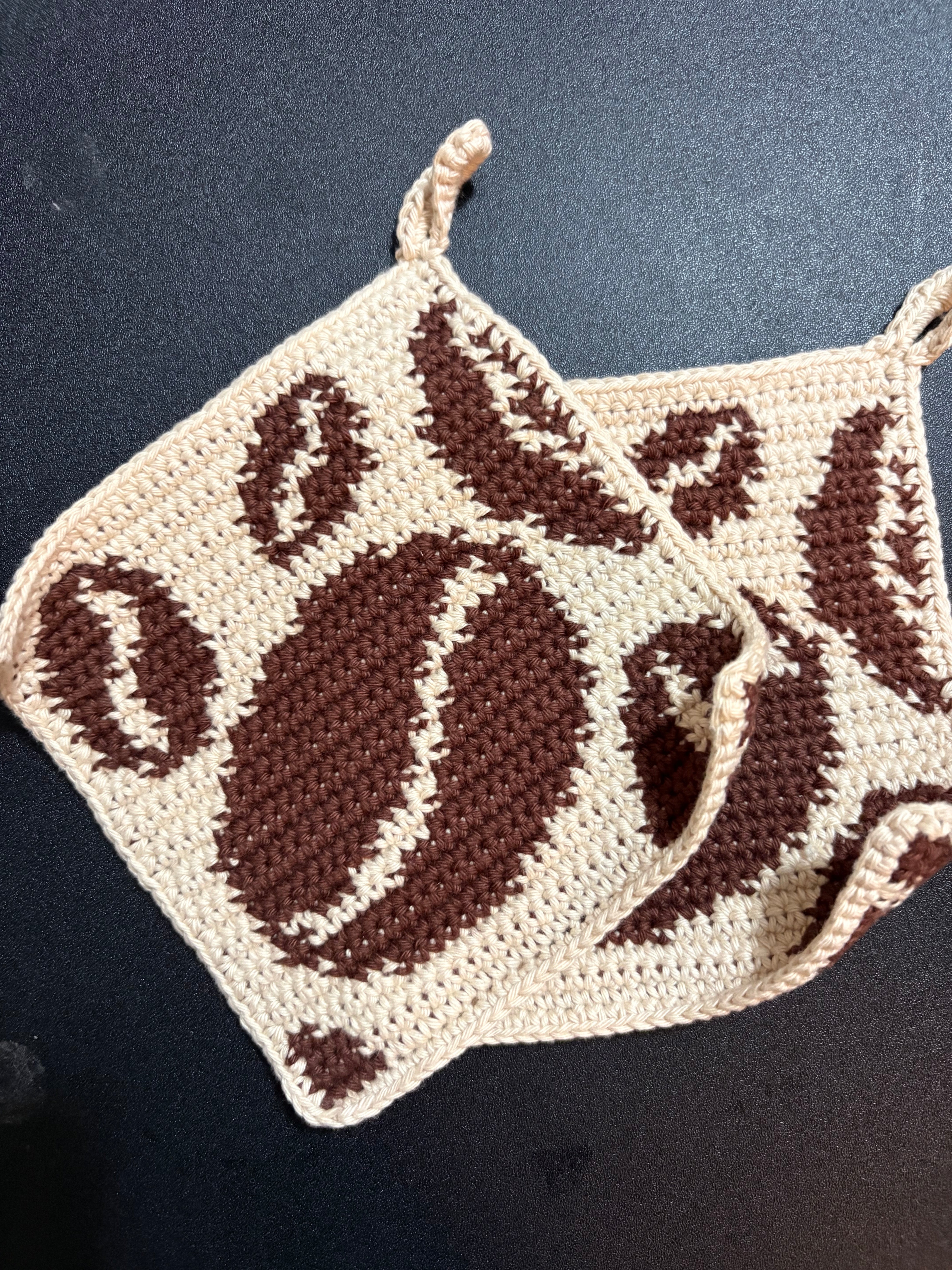 Tapestry Crochet Potholder or Hotpads