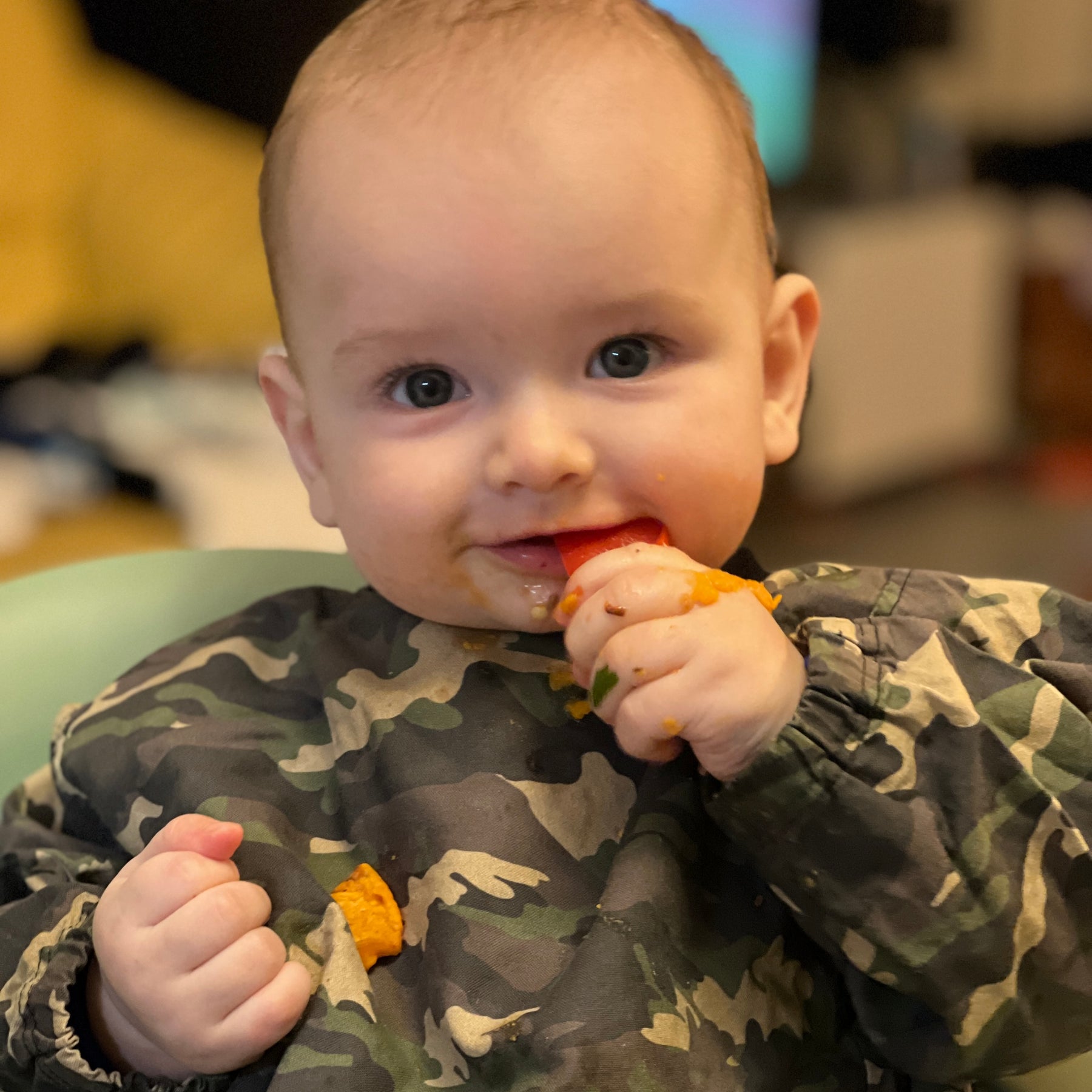 SMOCK FEEDER BIBS