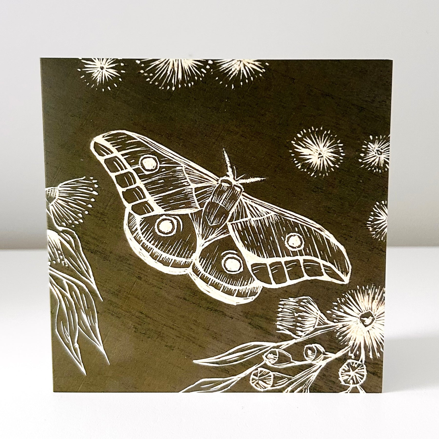 Art Card - you pick: Flannel Flower • Native Nest • Helena Gum Moth