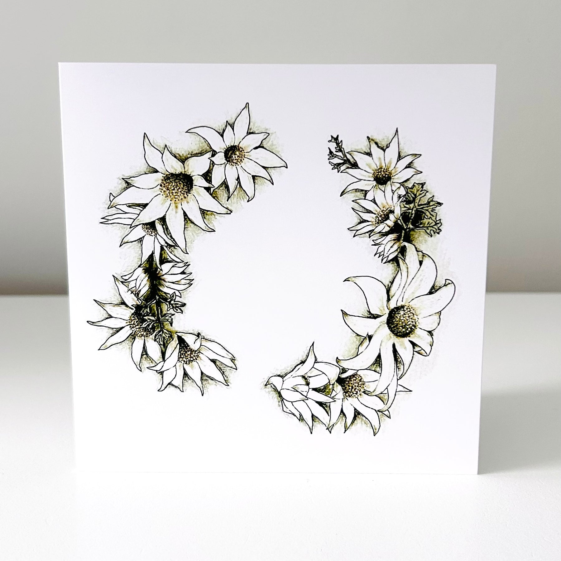 Art Card - you pick: Flannel Flower • Native Nest • Helena Gum Moth