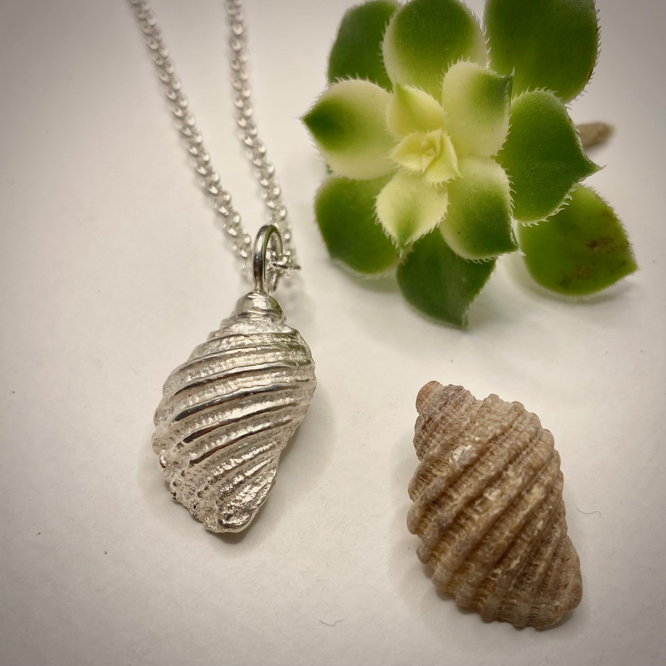 Silver Sea Shell Pendant