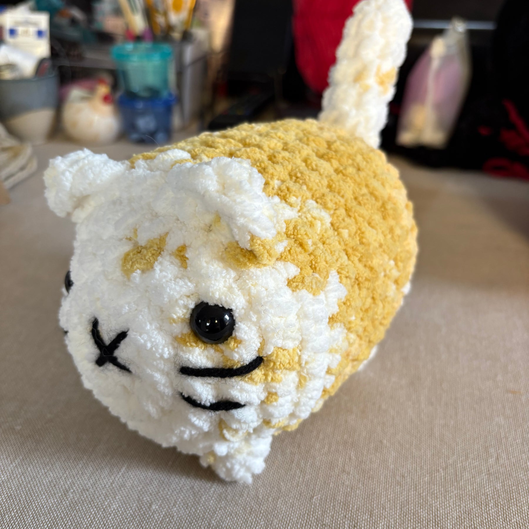 Cat - Sunnie