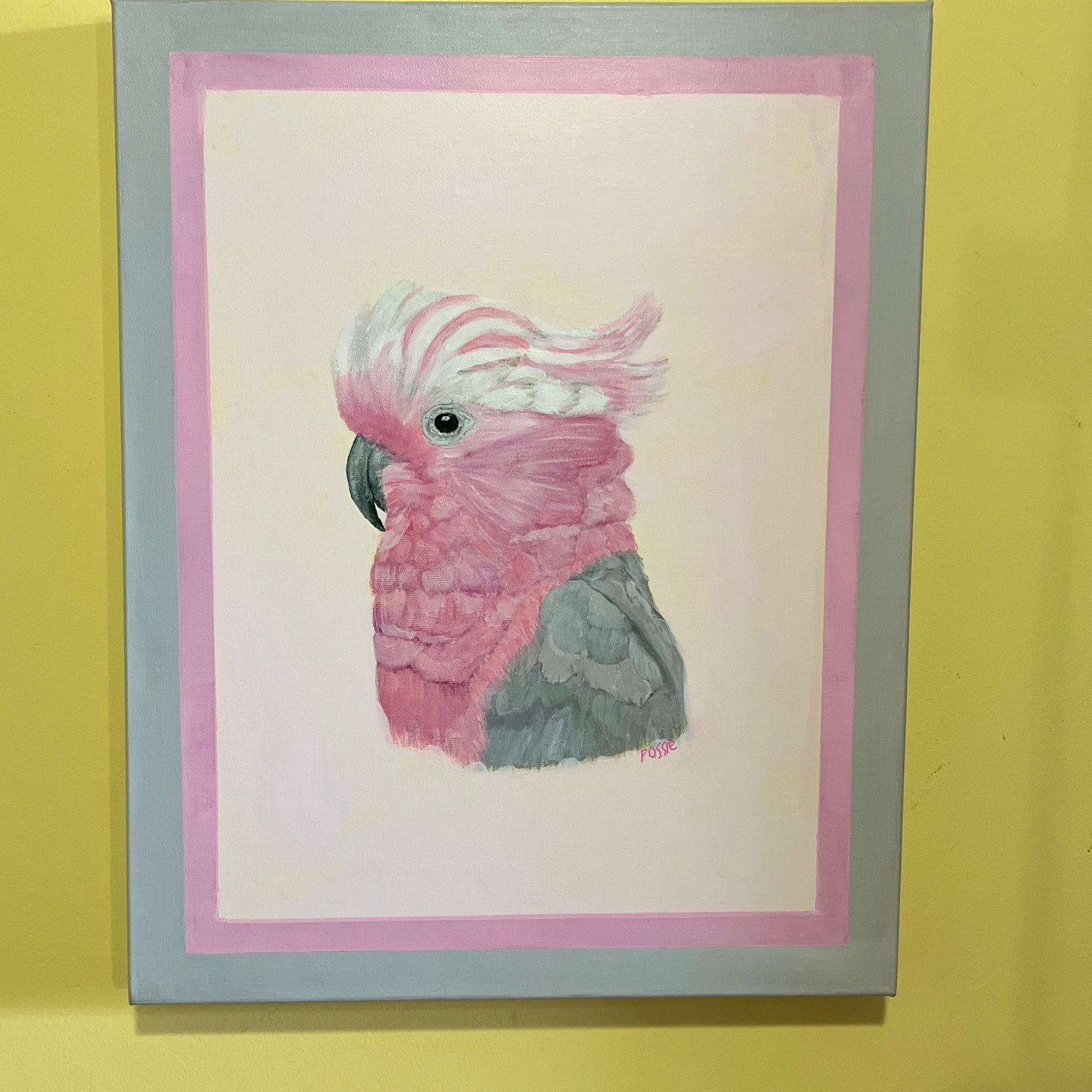 Australian Galah in acrylic