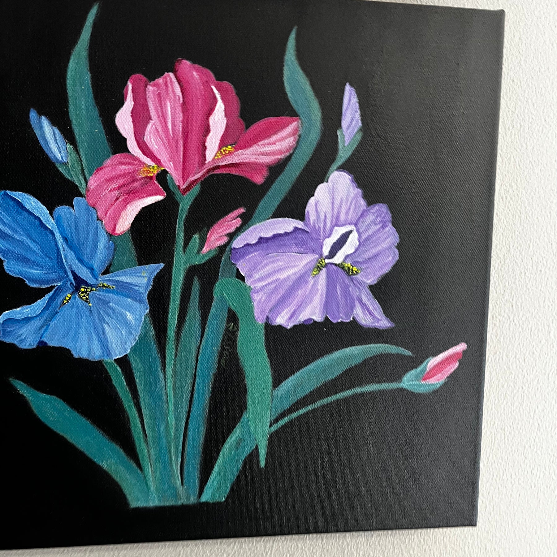 The Iris flower