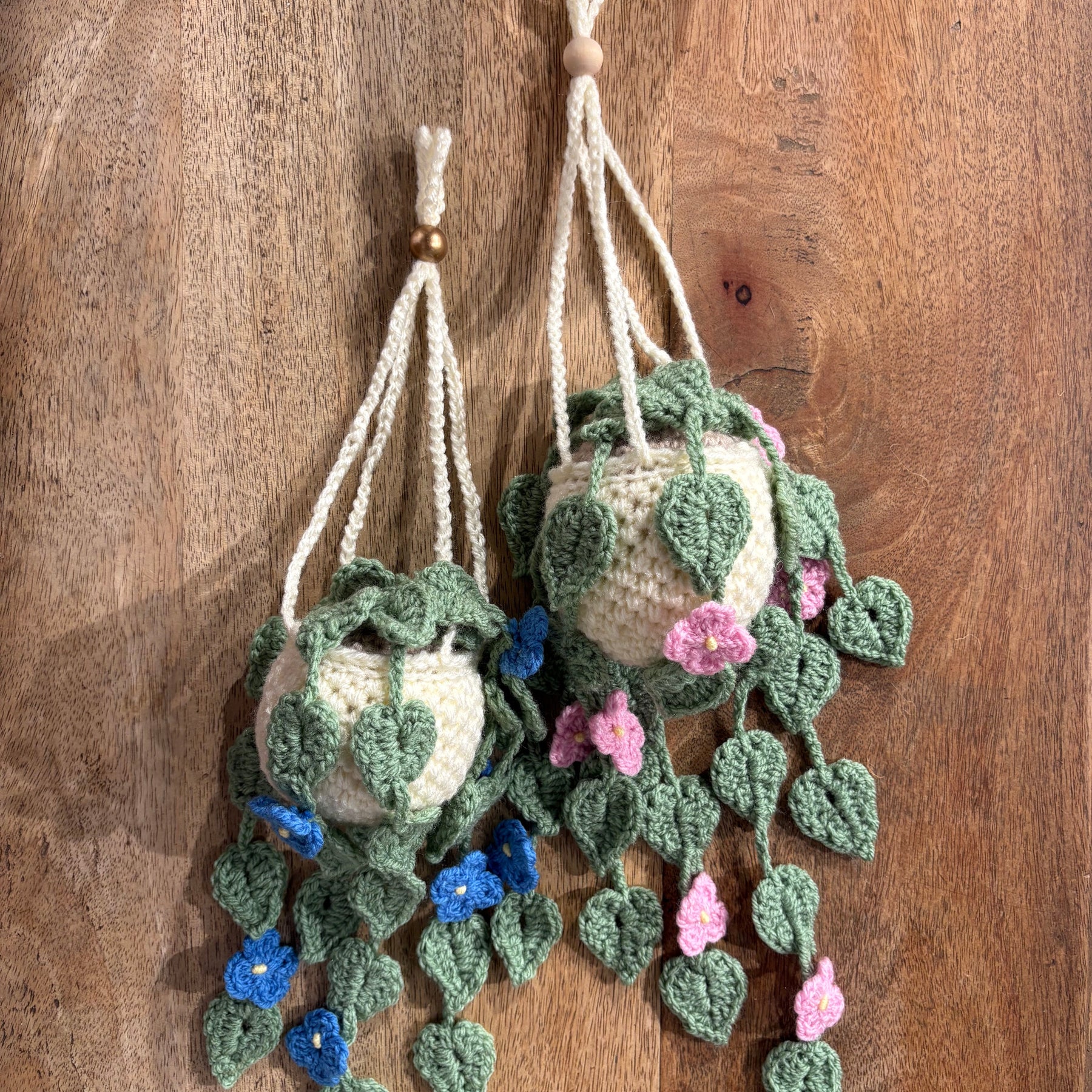 No-Fuss Hanging Plant - Vine with Flowers