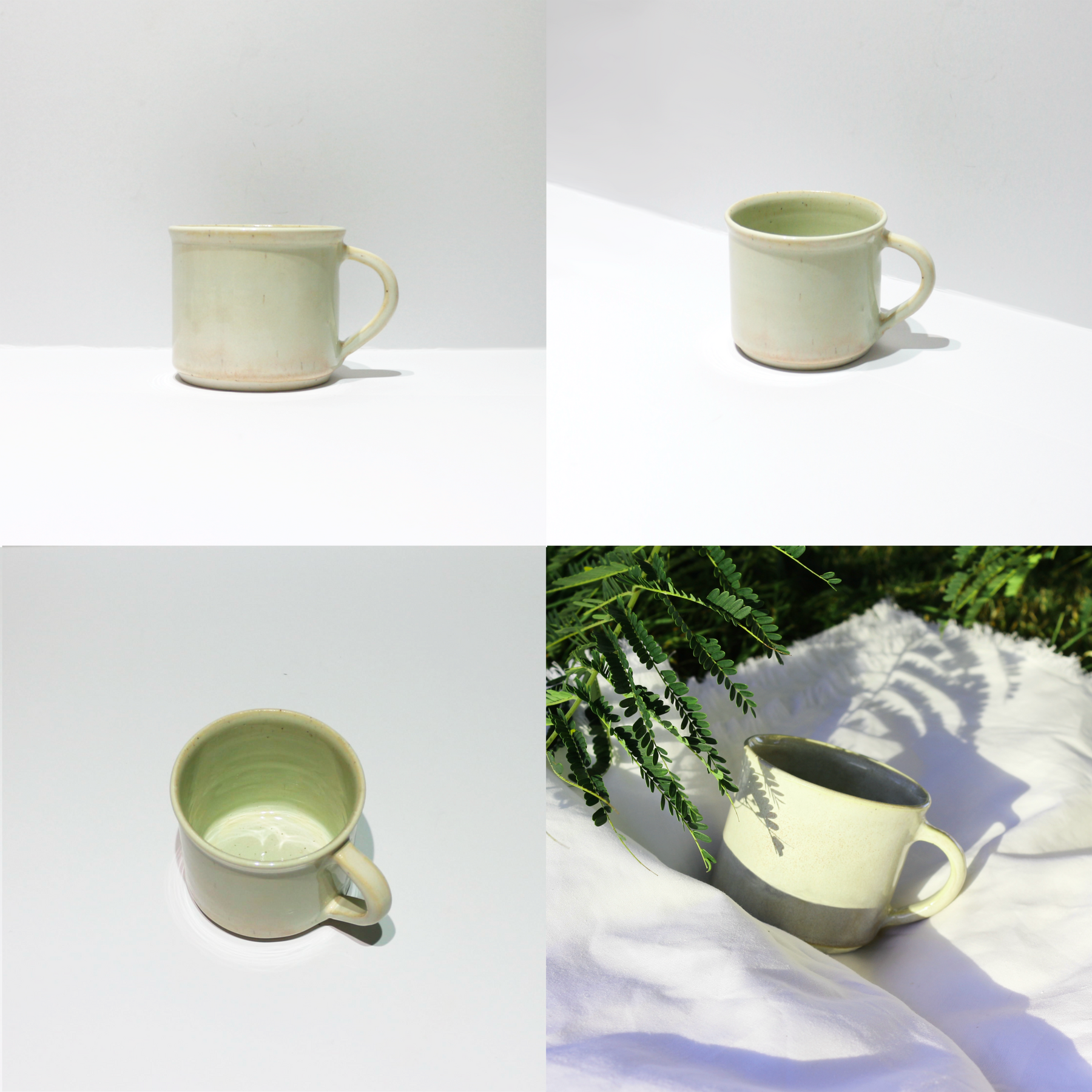 Daily Sip Cups : Tasty Color