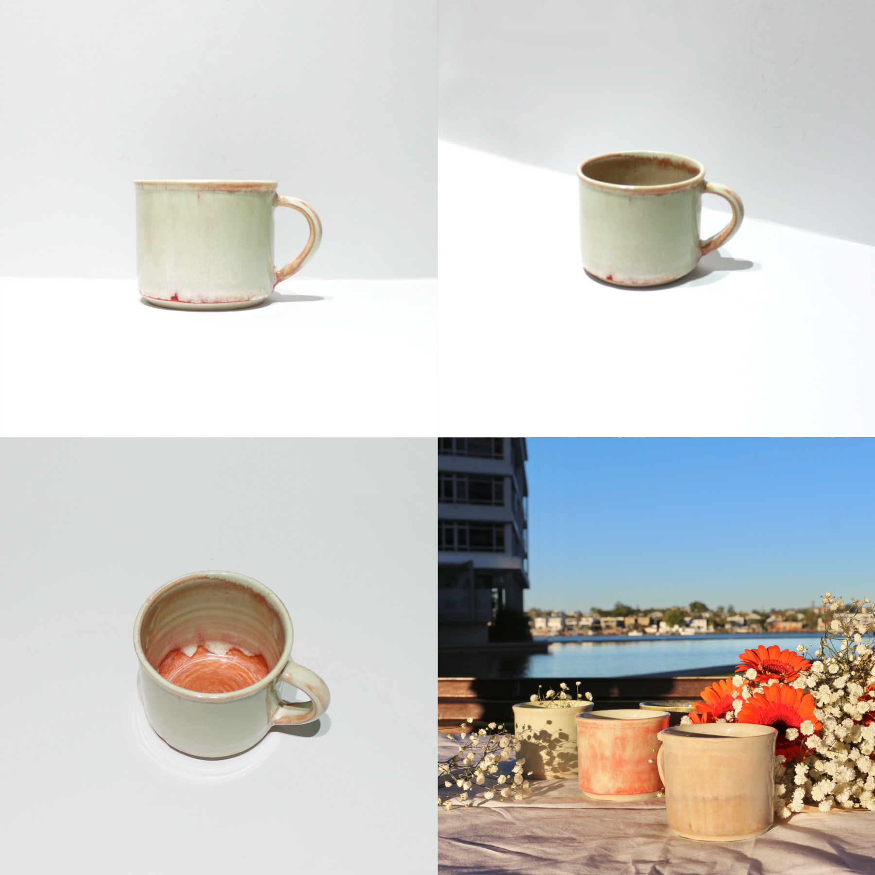 Daily Sip Cups : Tasty Color