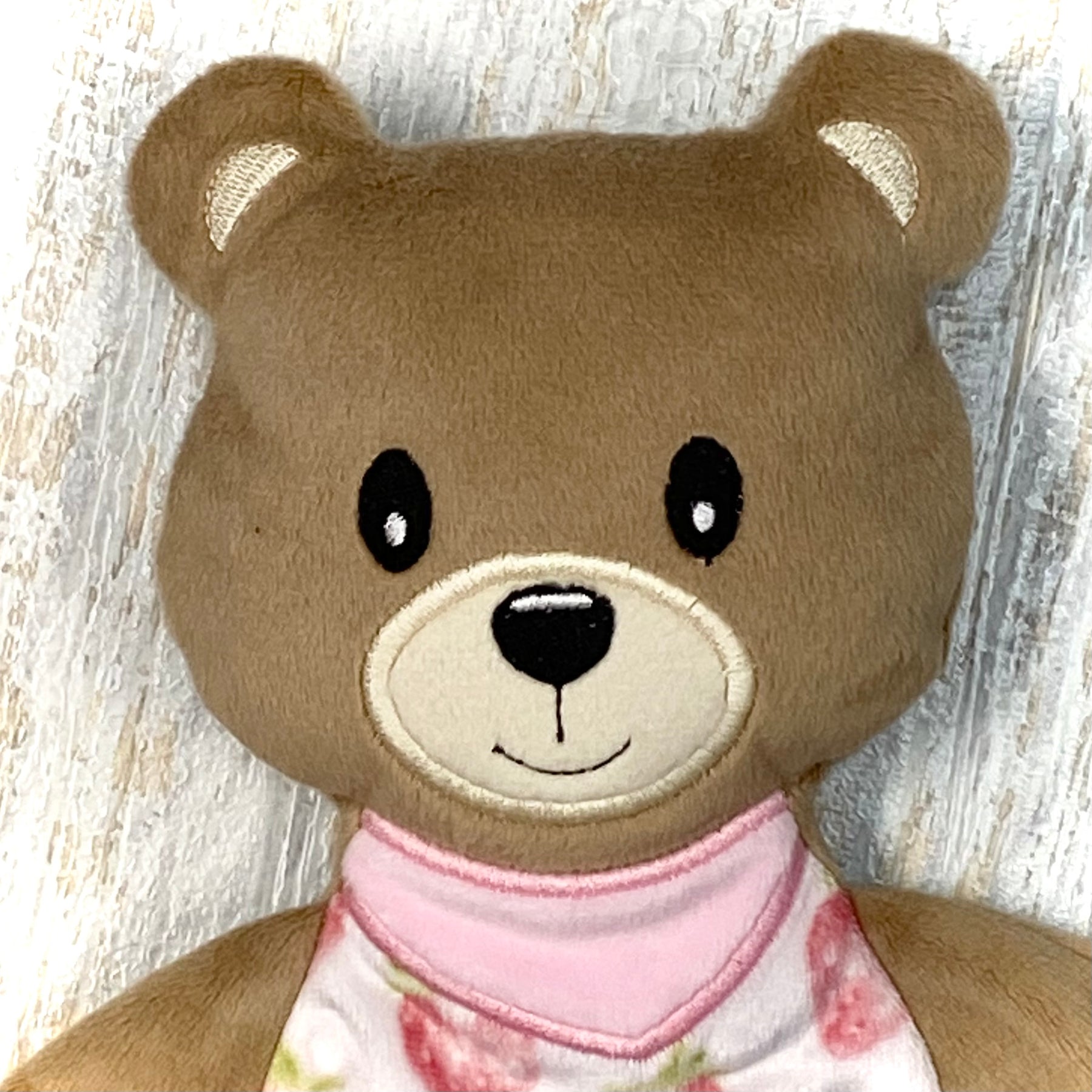 Minky Bear Comforter