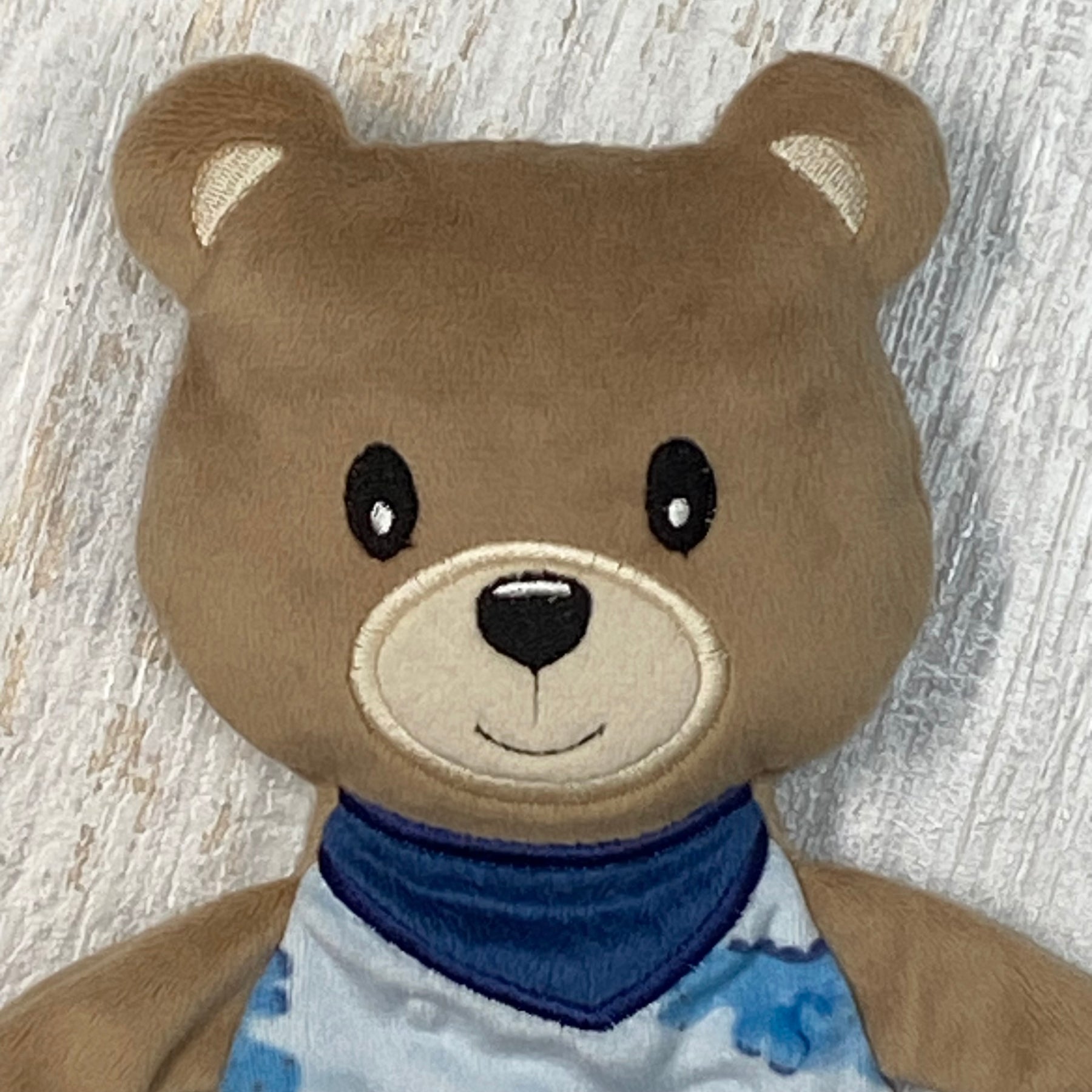 Minky Bear Comforter