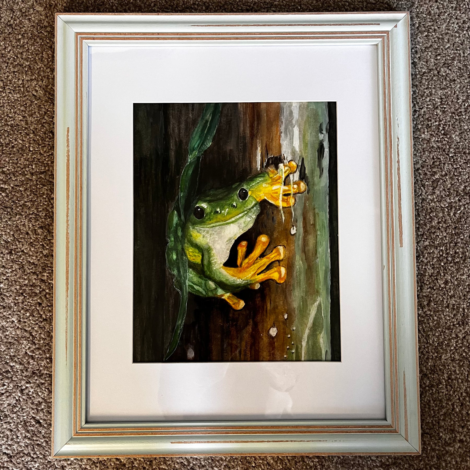Green frog in a rainforest