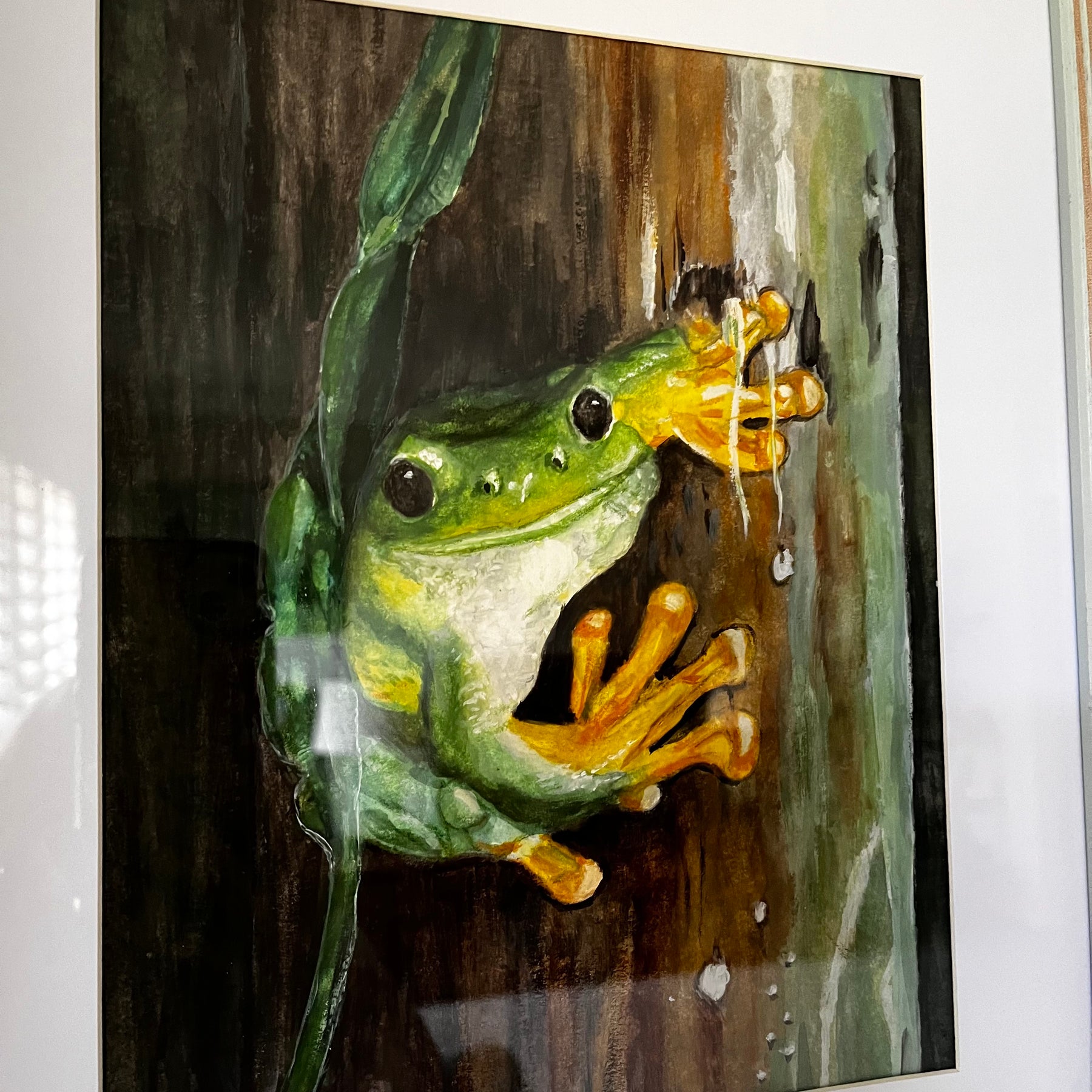 Green frog in a rainforest