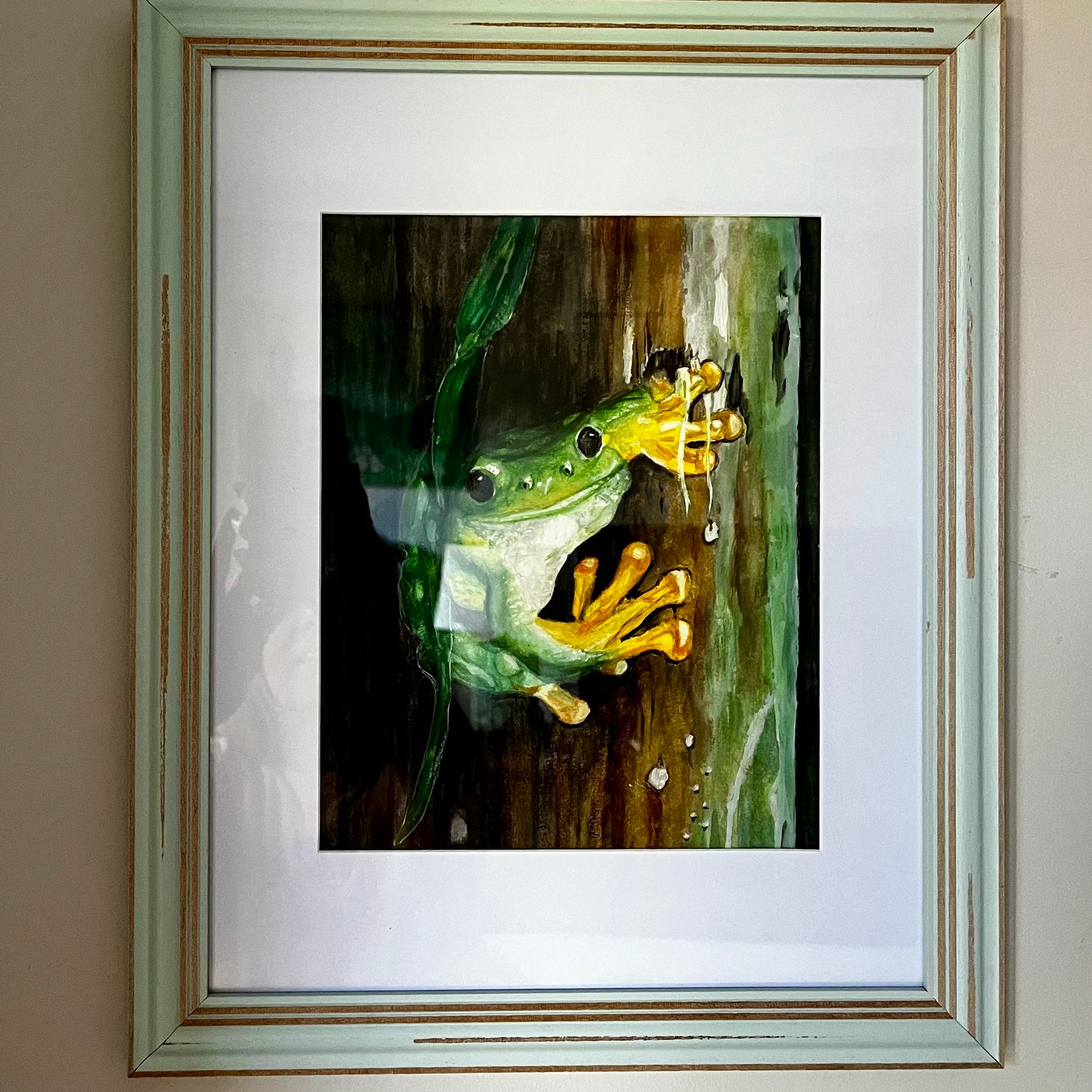 Green frog in a rainforest