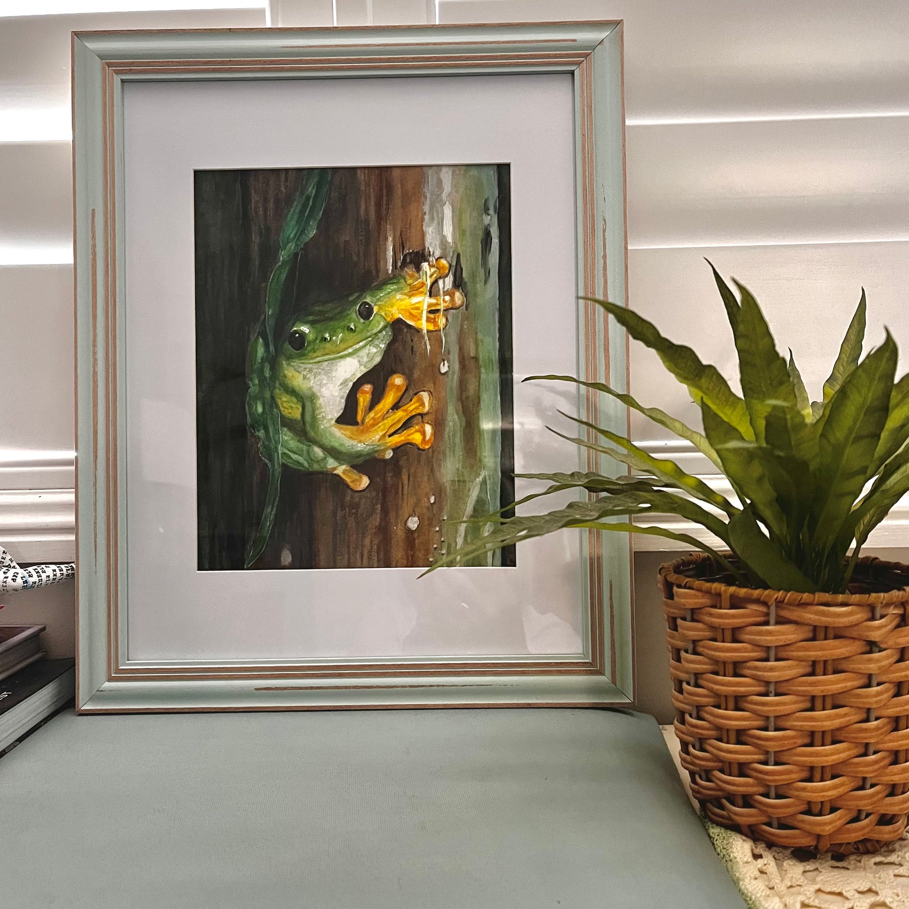 Green frog in a rainforest