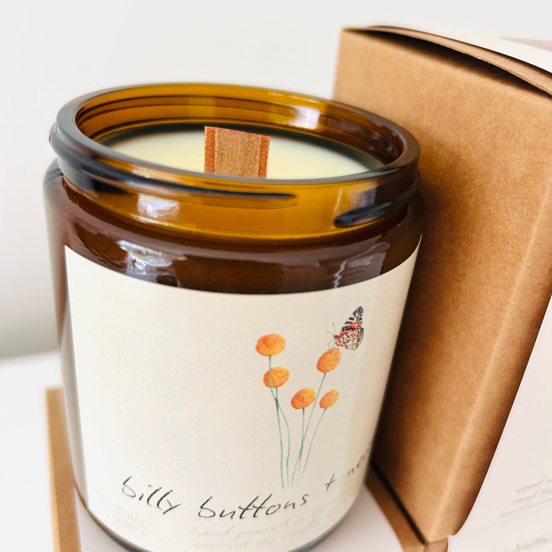 Art Candle - Billy Buttons + Nectar