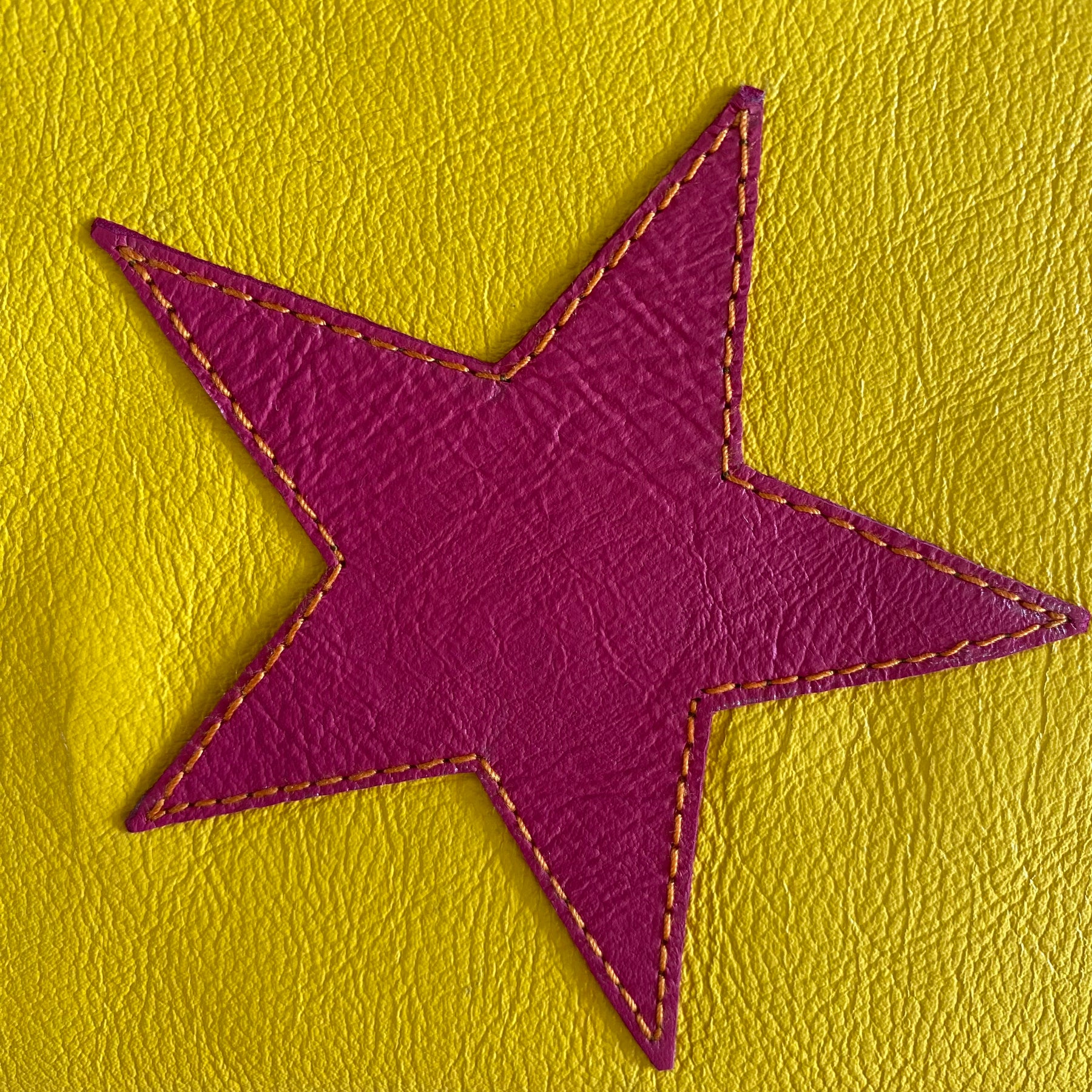Makeup bag / pencil case ‘Pink star’