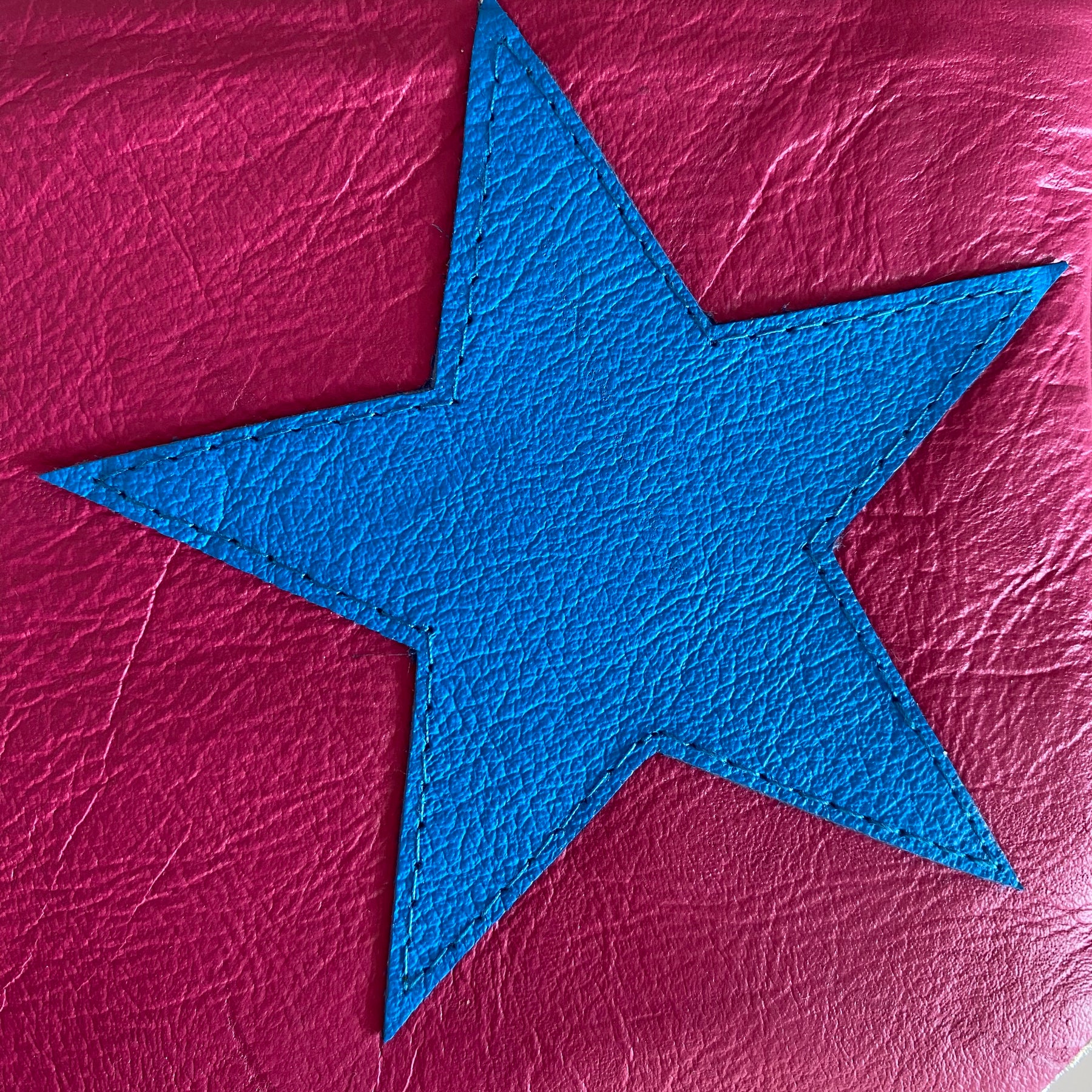 Leather pouch ‘Blue star’