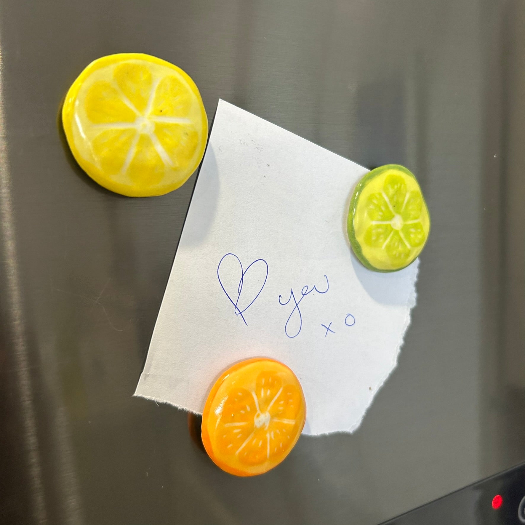 Ceramic Fridge Magnets - Blueberries - Citrus - Ladybeetles - Strawberries - Flowers
