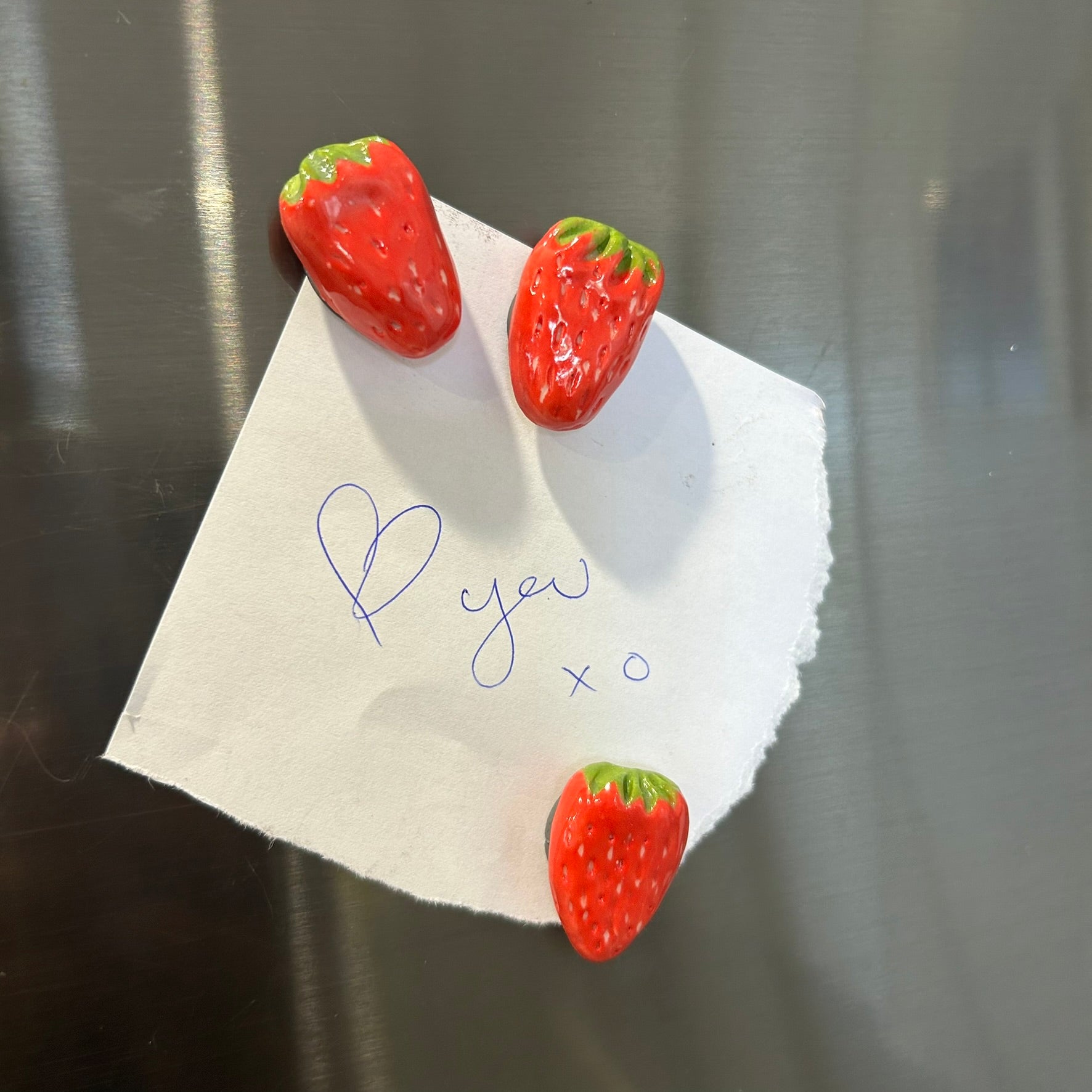 Ceramic Fridge Magnets - Blueberries - Citrus - Ladybeetles - Strawberries - Flowers