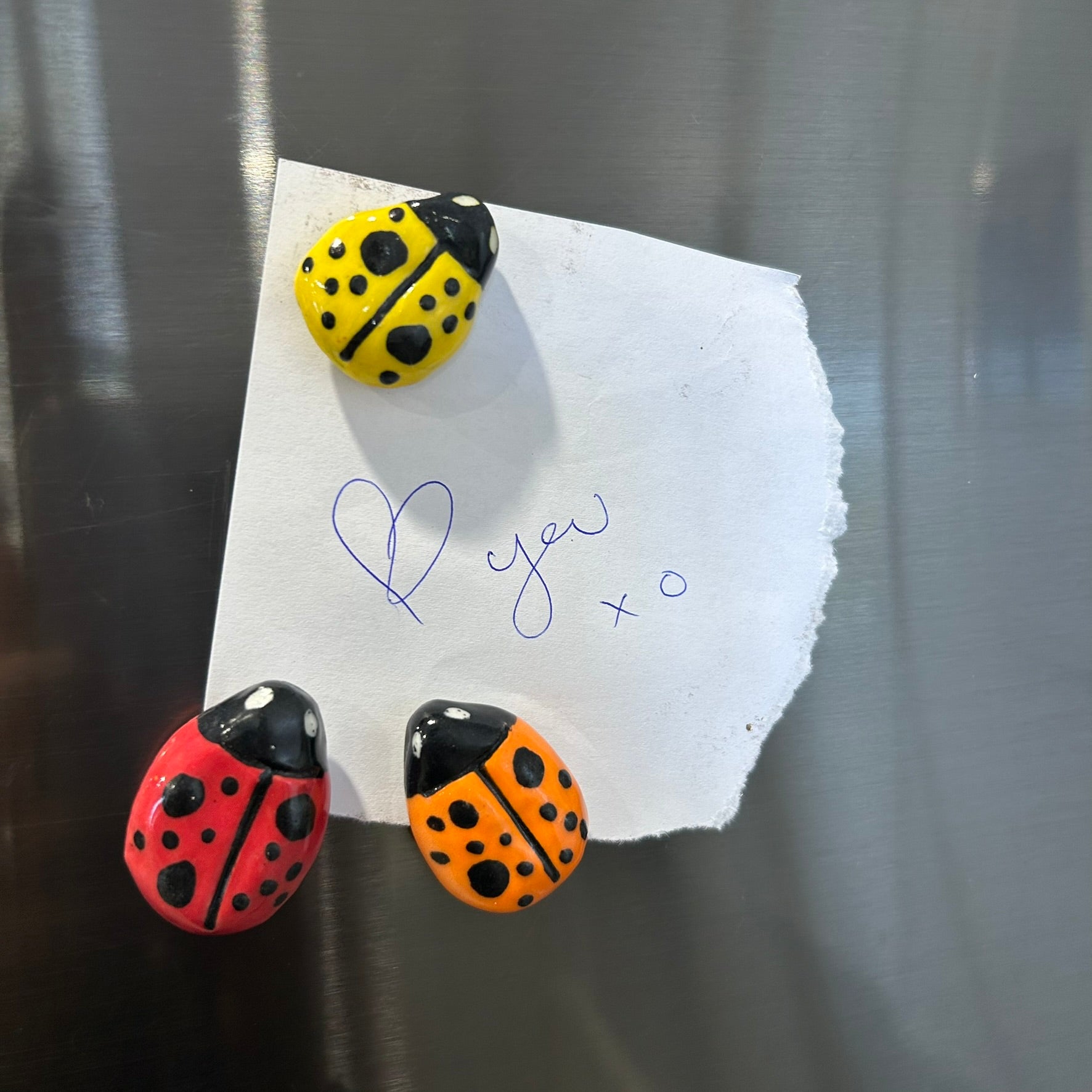Ceramic Fridge Magnets - Blueberries - Citrus - Ladybeetles - Strawberries - Flowers