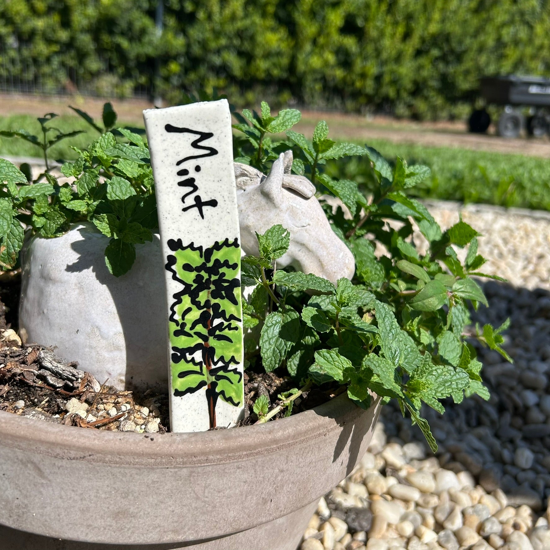 Hand Painted Herb Markers Set of 10