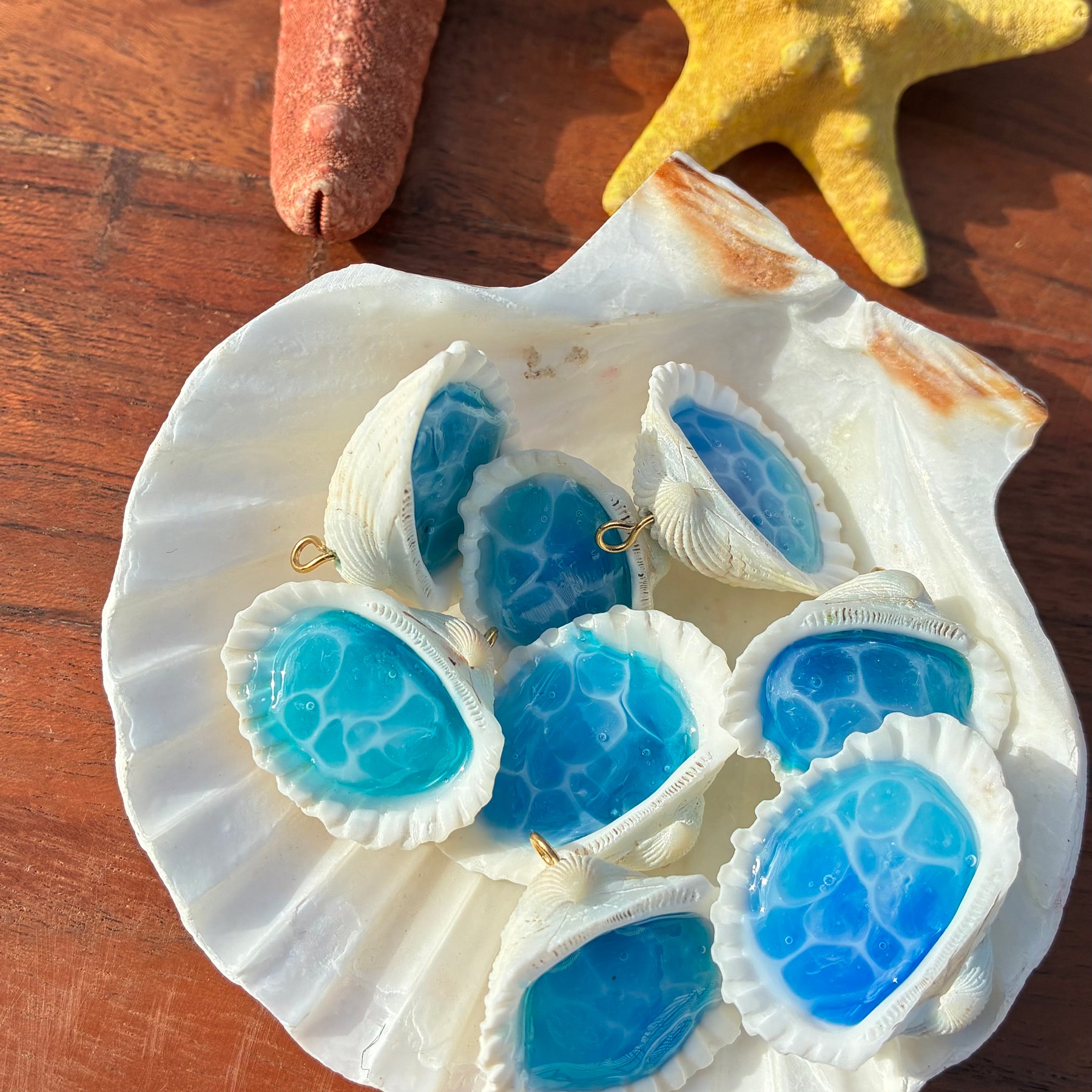 Ocean in a Shell🐚🏝️