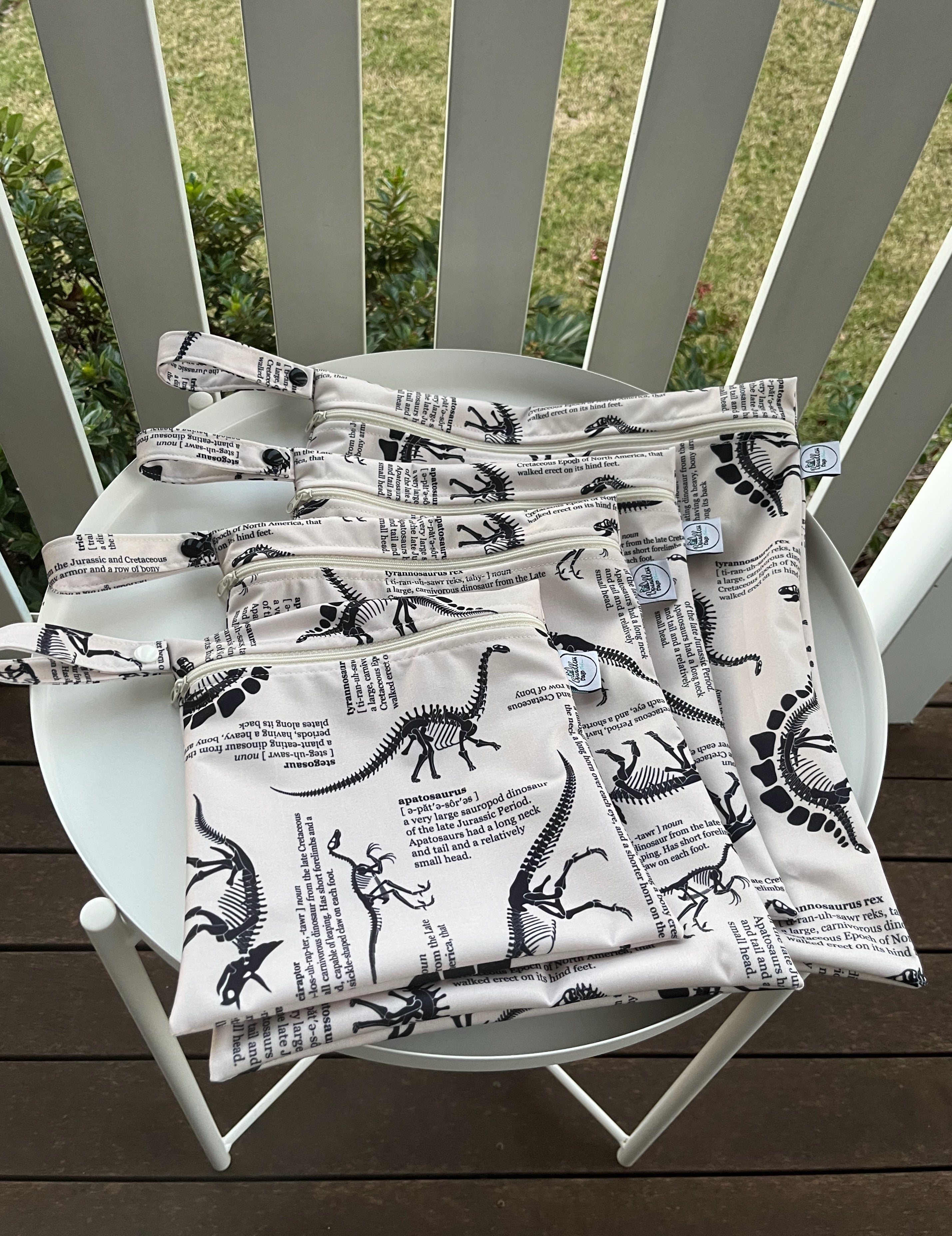 READY MADE Water-resistant wet bags - Dino Definitions (iwi Designs)