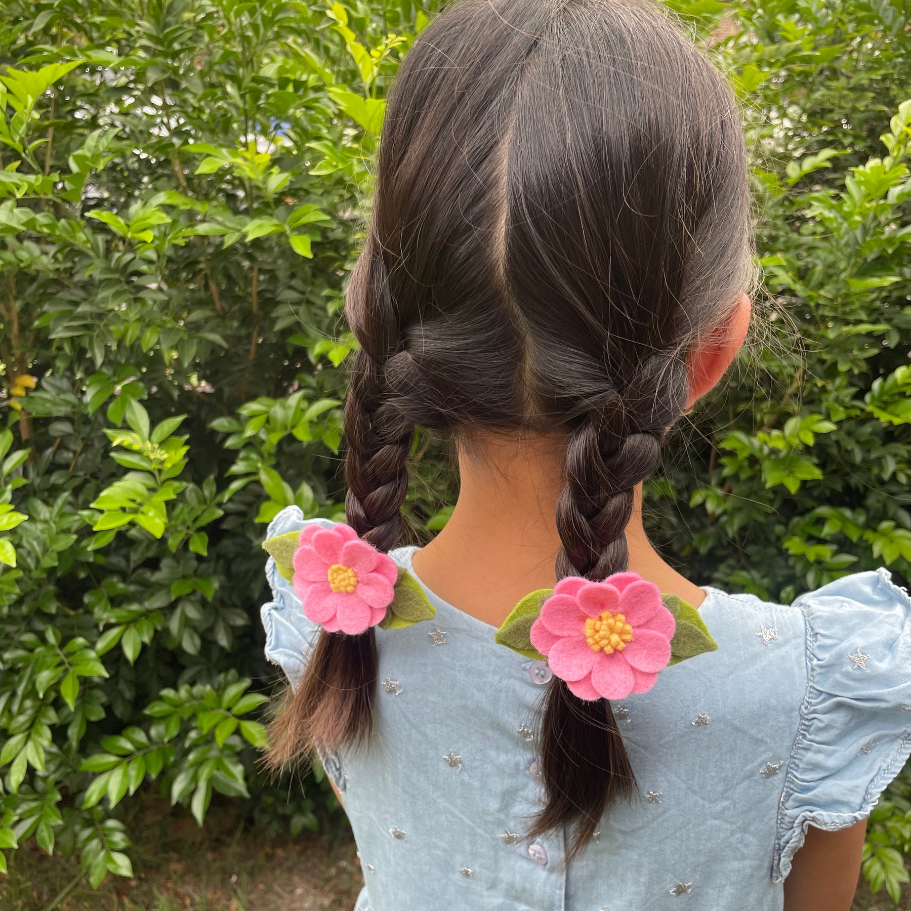 Set of 2 Daisies clip set