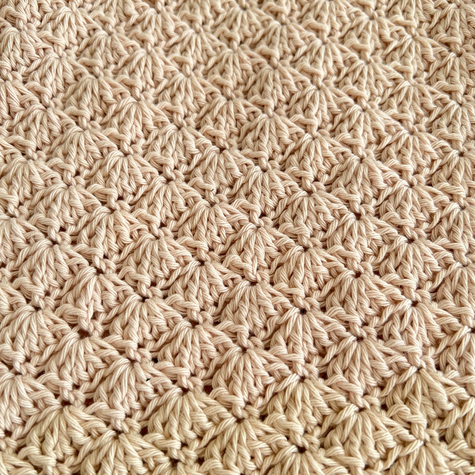 Crochet Shell Shorts