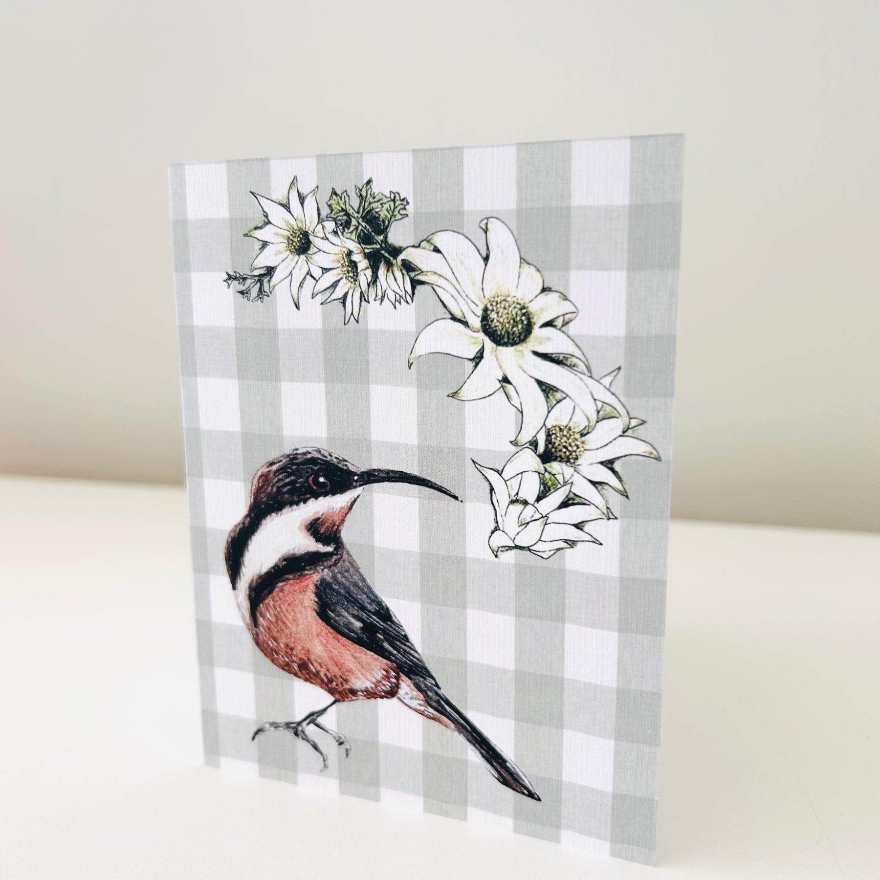 Greeting Card - Eastern Spinebill & Flannel Flower