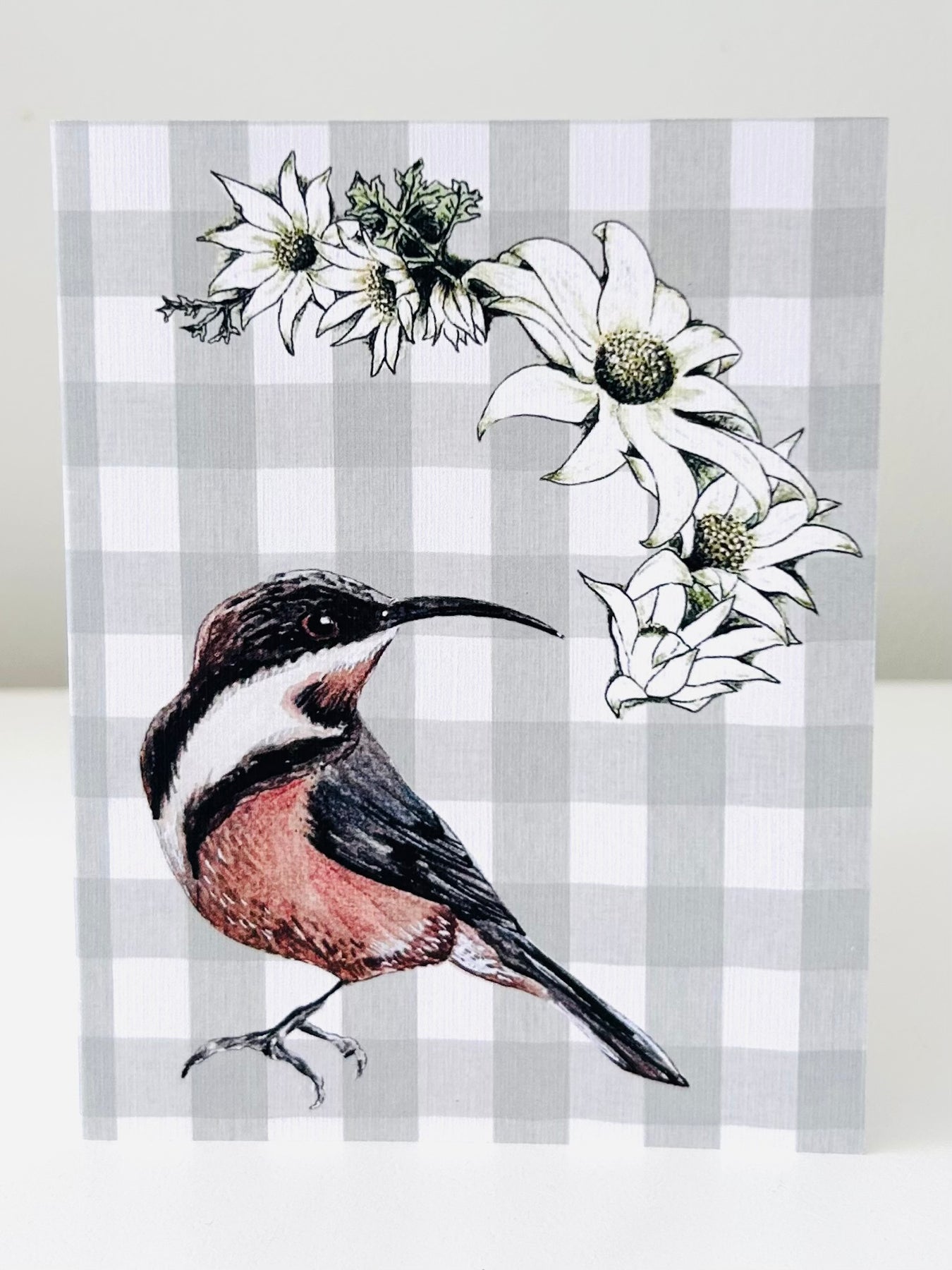 Greeting Card - Eastern Spinebill & Flannel Flower