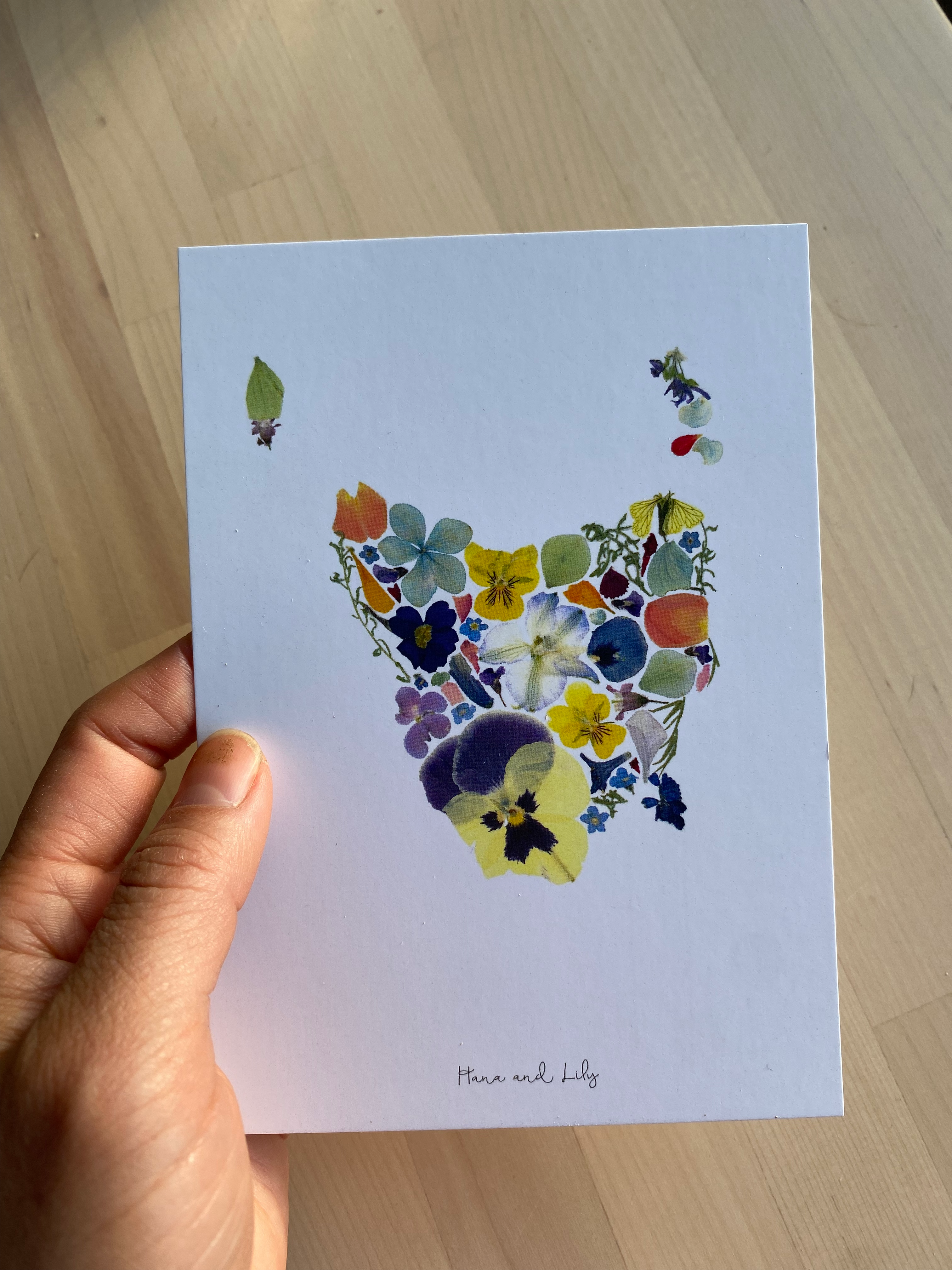 Pressed flower "Tasmania" and "Australia" postcard, pressed flower card, unique gift