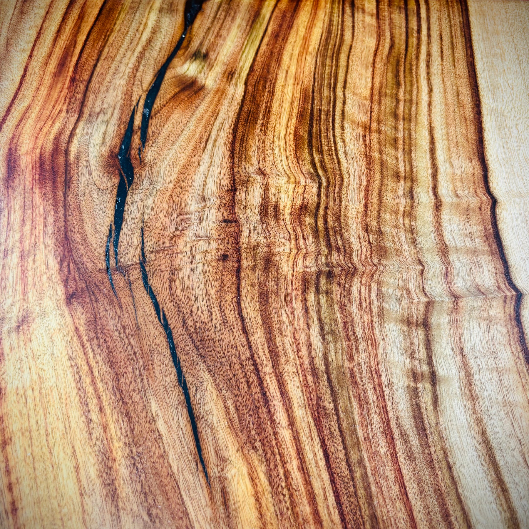 Hardwood Camphor Laurel Charcuterie Board 300x445x25mm