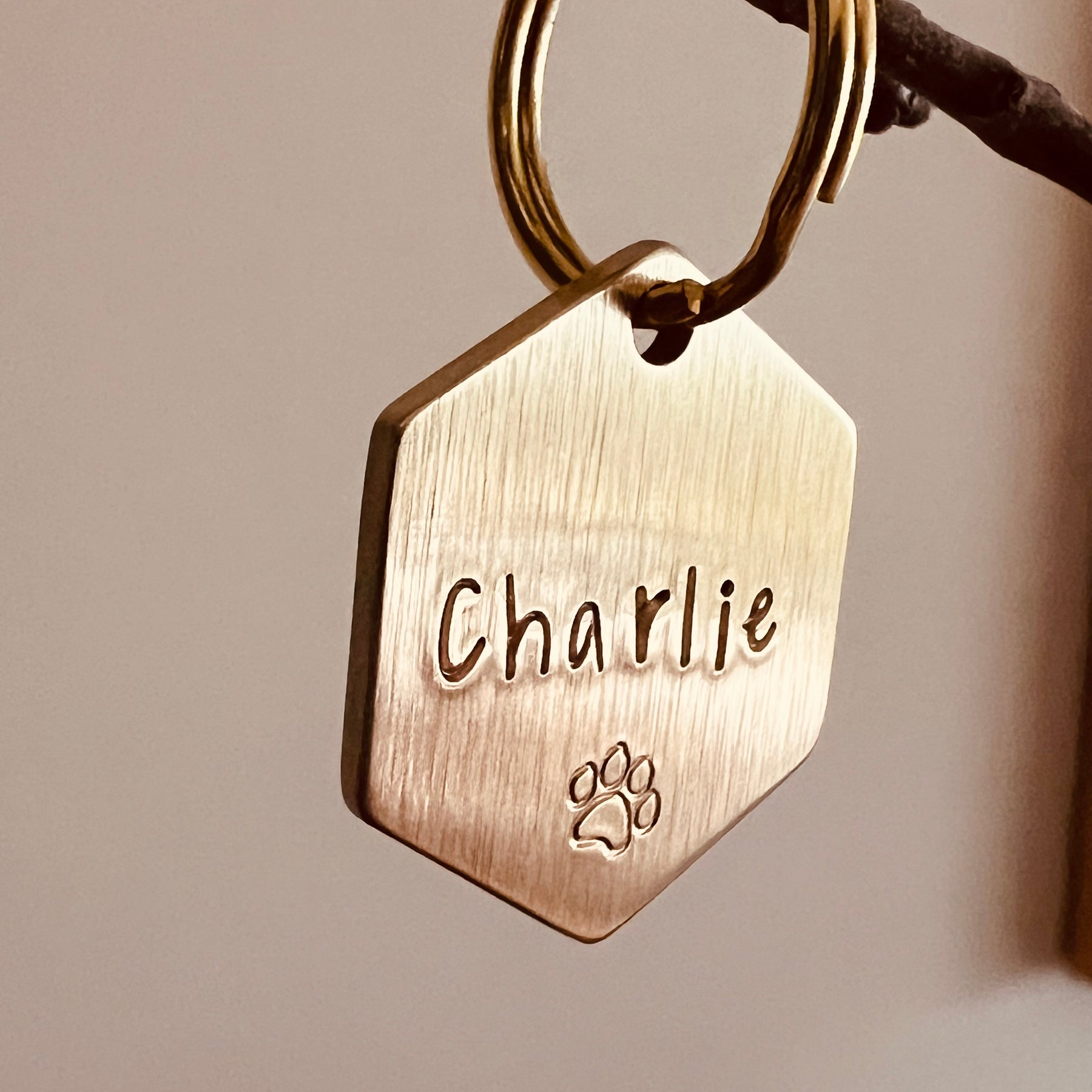Hand Stamped Brass 2mm thick ID tag Dog Cat Unfilled Hexagon Shape