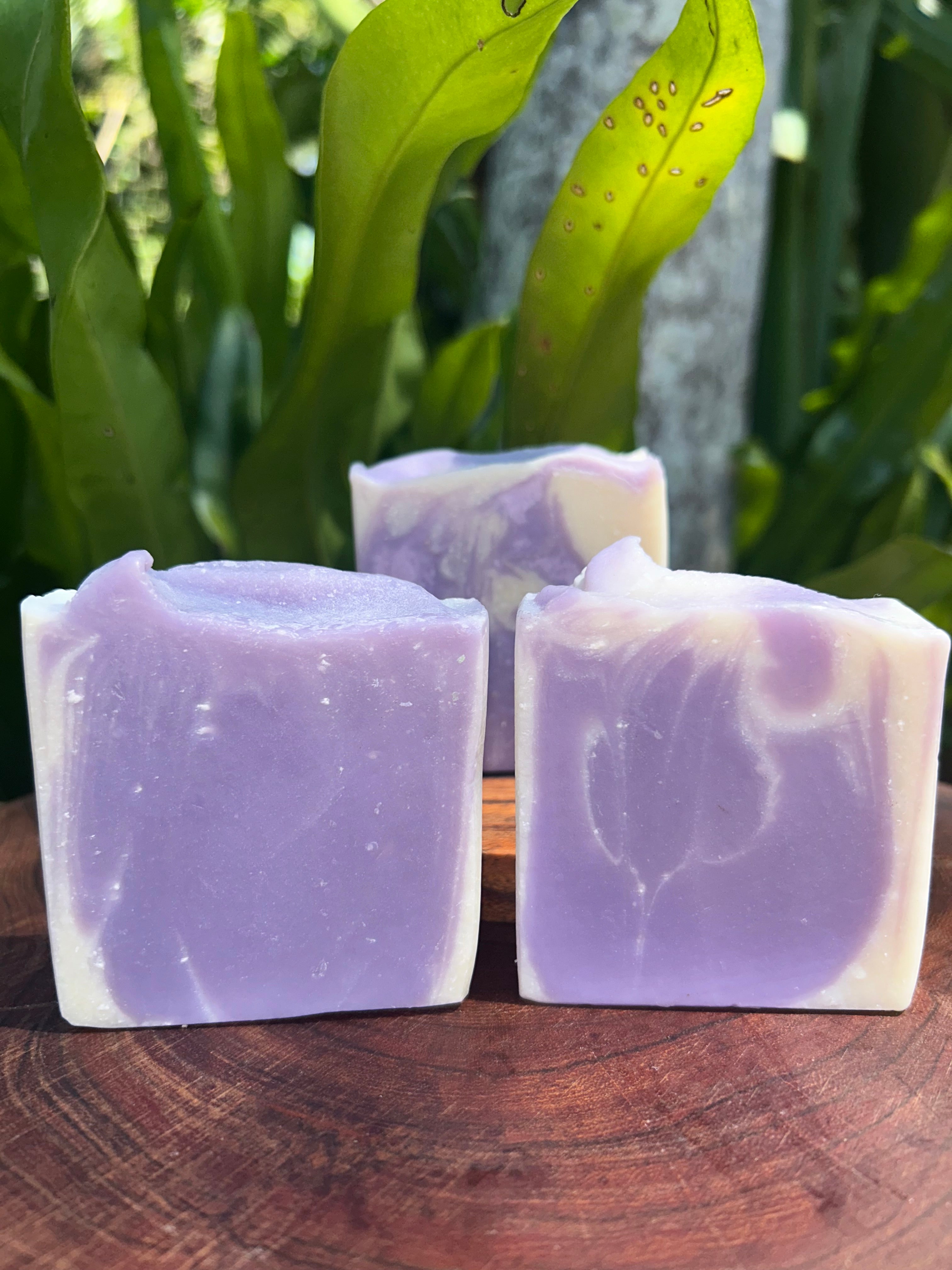 Handmade French Lavender Soap | Shea Butter Soap | Natural Soap | Calming Soap