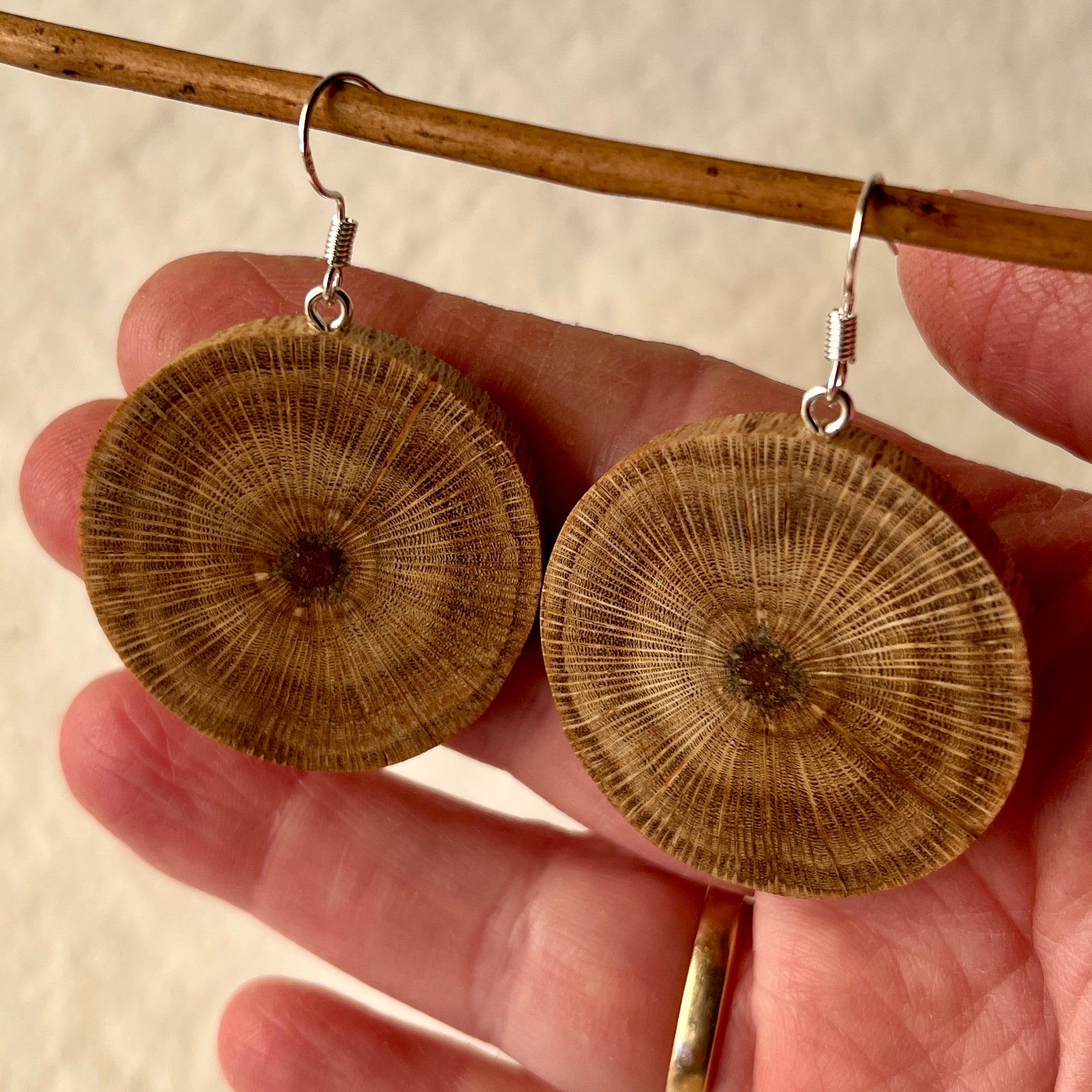 Unique Banksia Earrings Handmade from Recycled Timber