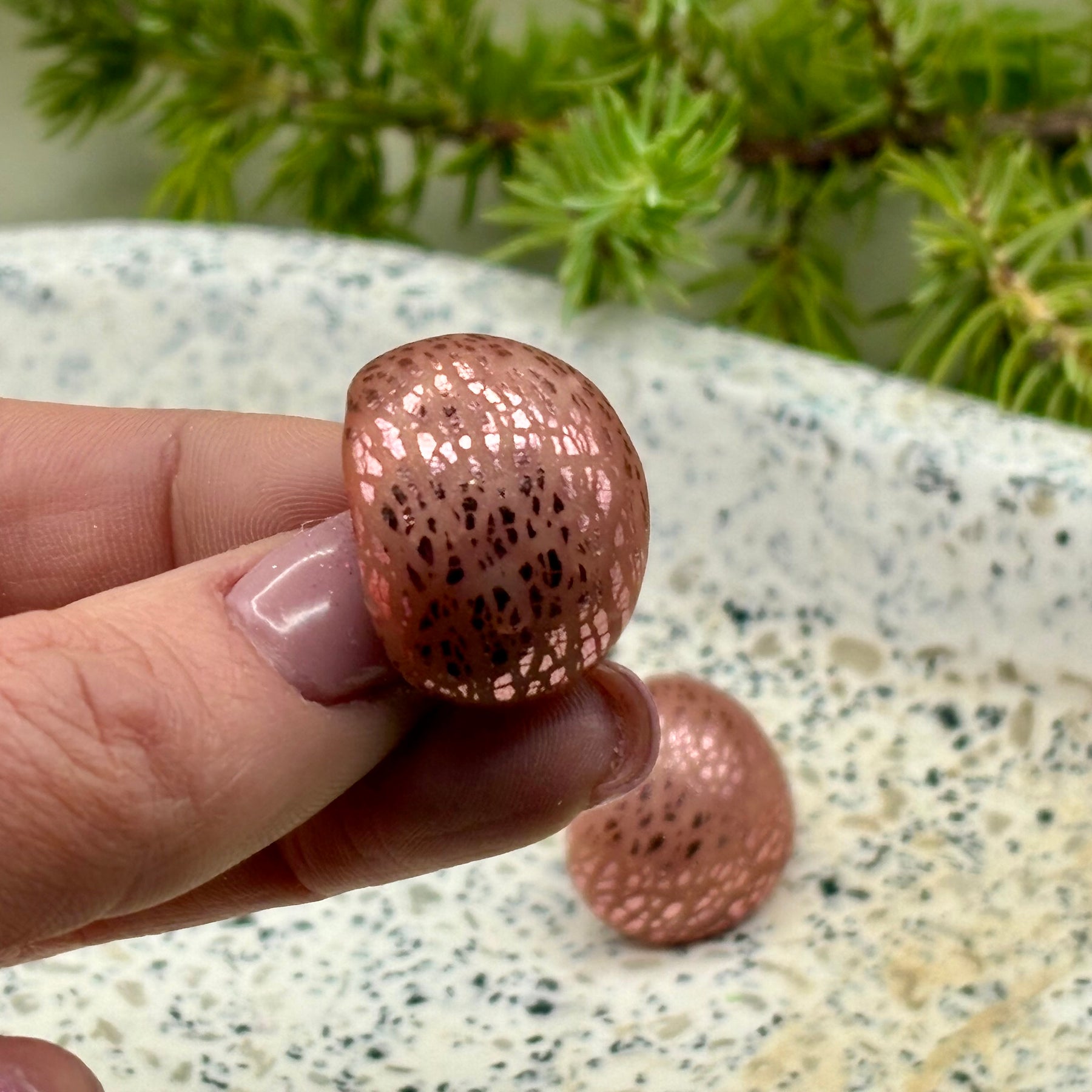 Petit Pink Cabochon Studs