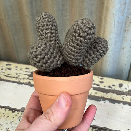 Crochet Finger Cactus in Terracotta Pot