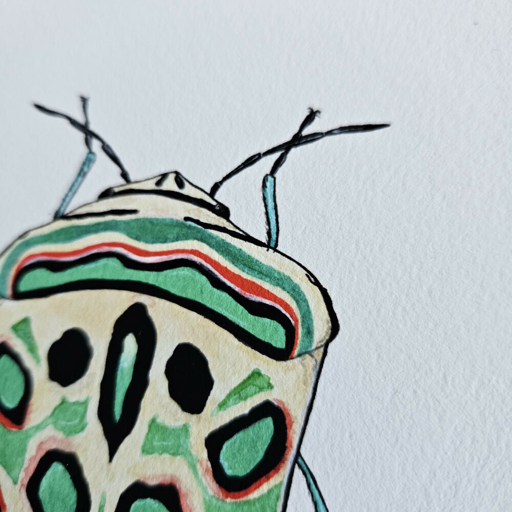 the fauna series - picasso bug