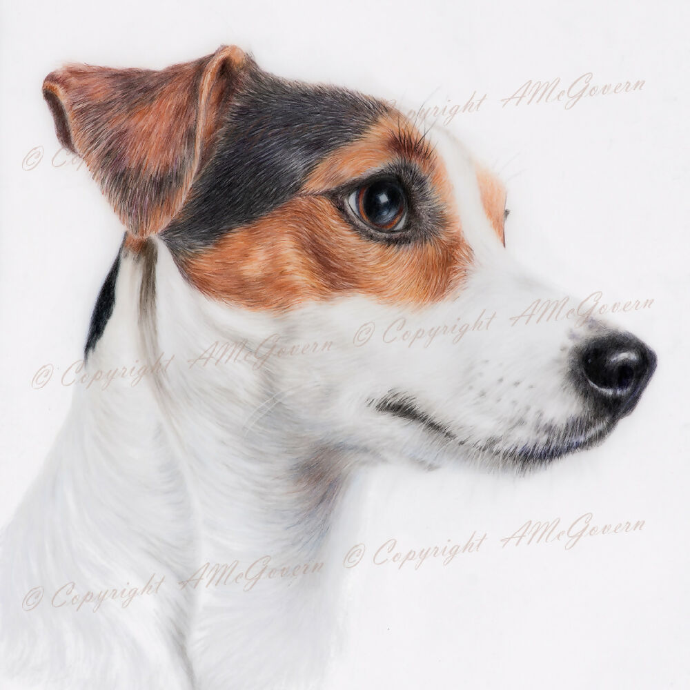 Dog-1024x1024