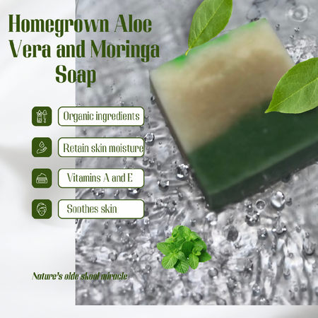 Homegrown Aloe Vera and Moringa Soap